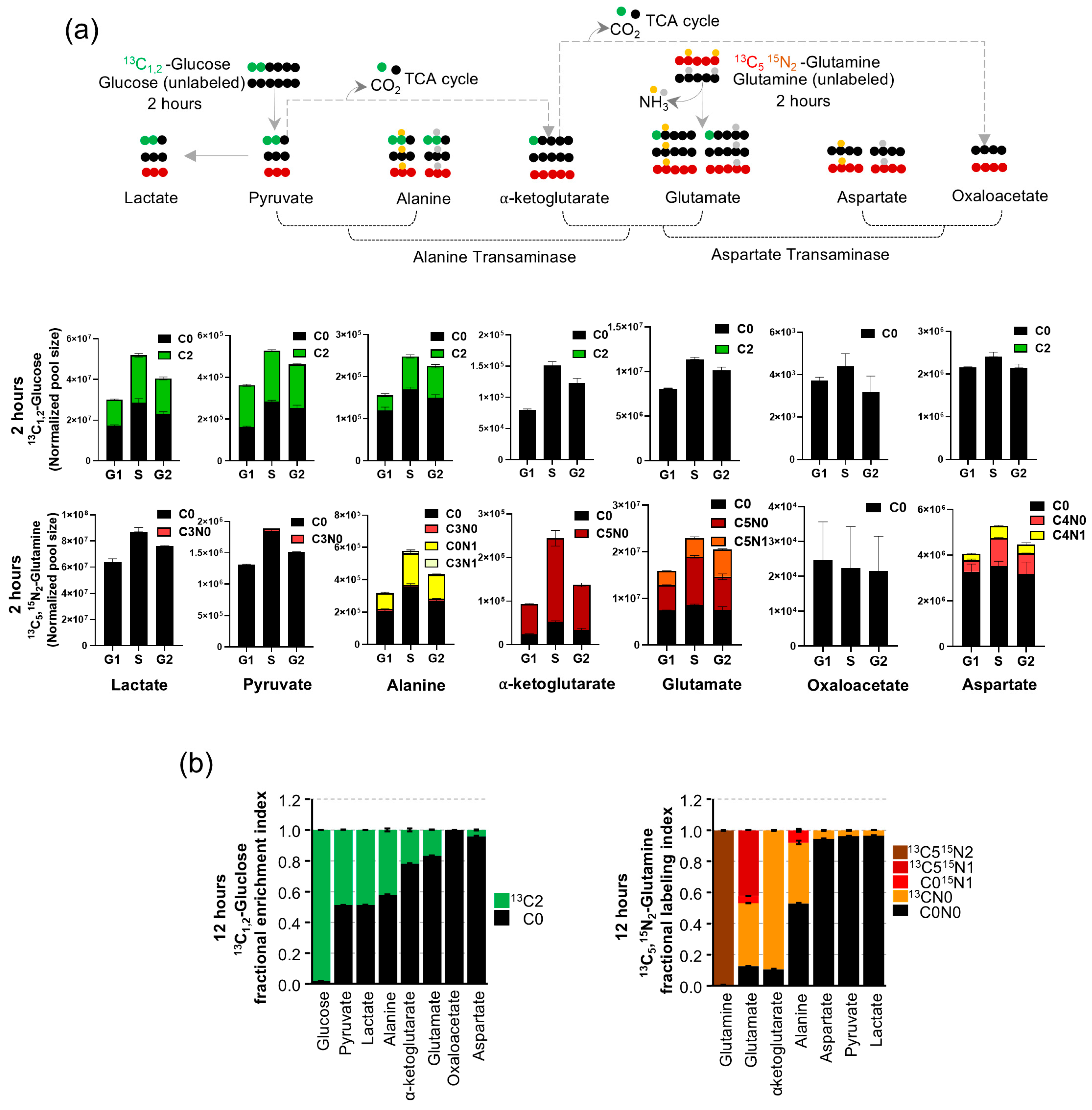 Cancers 16 03606 g002