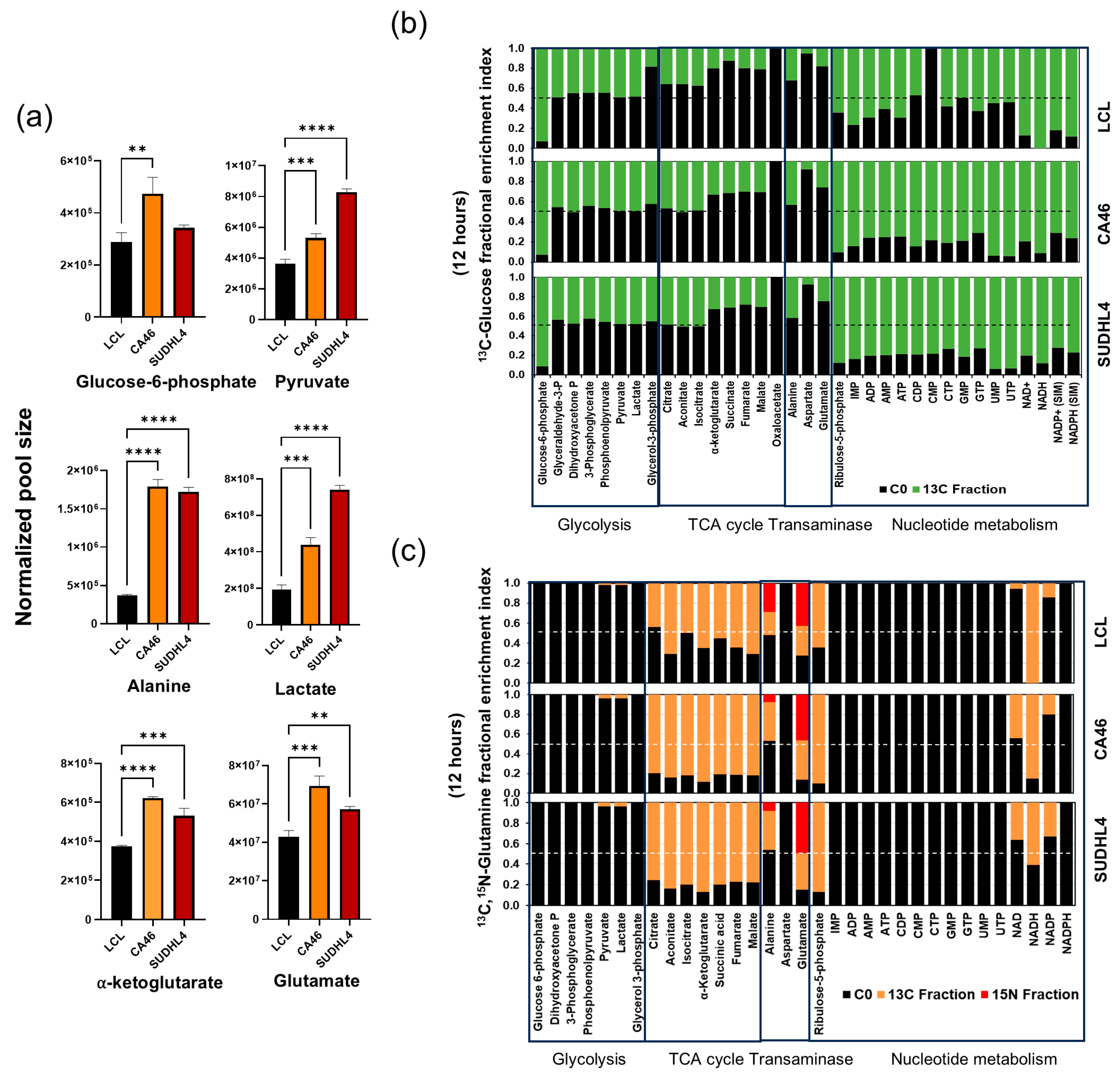 Cancers 16 03606 g003