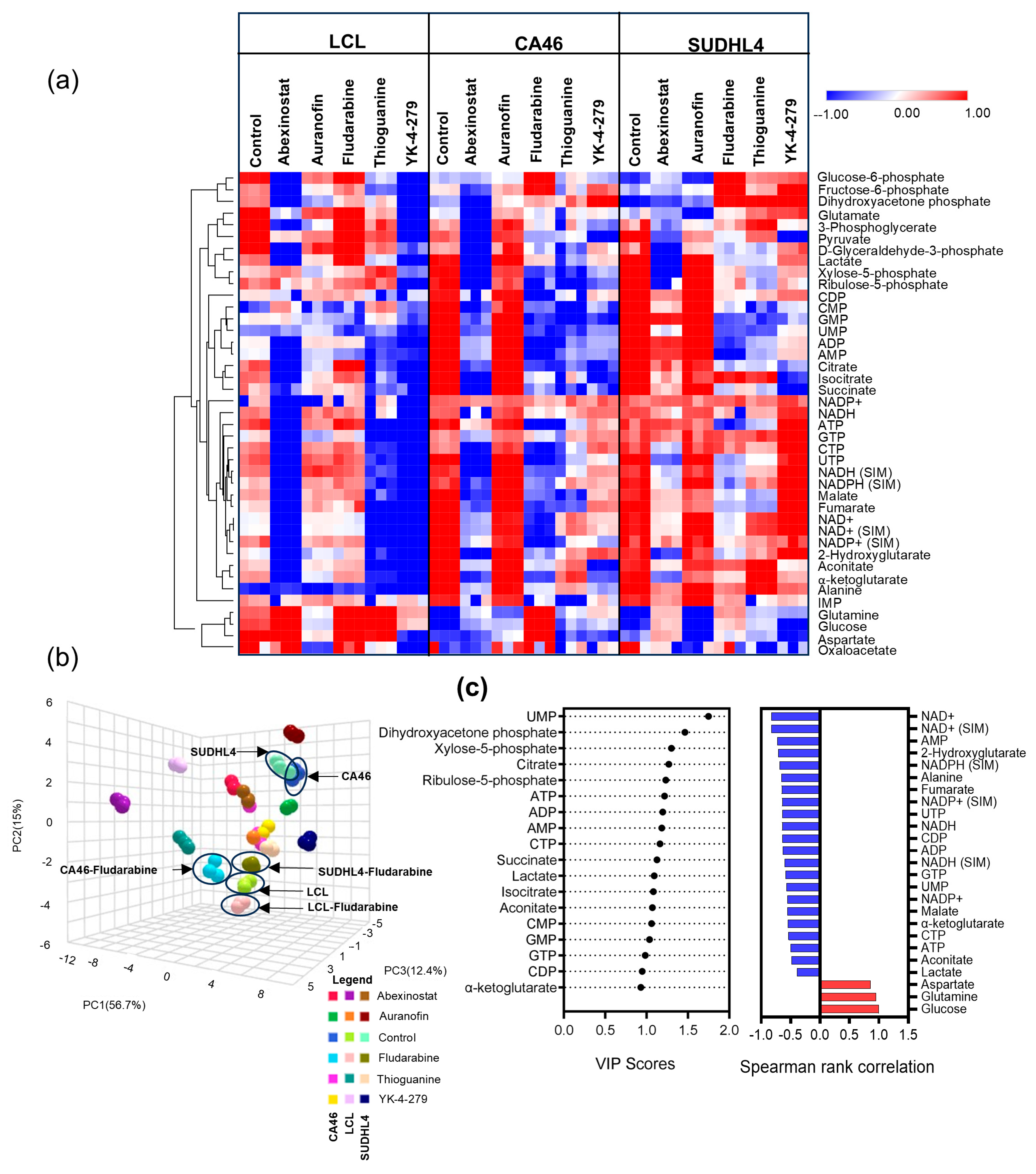 Cancers 16 03606 g005