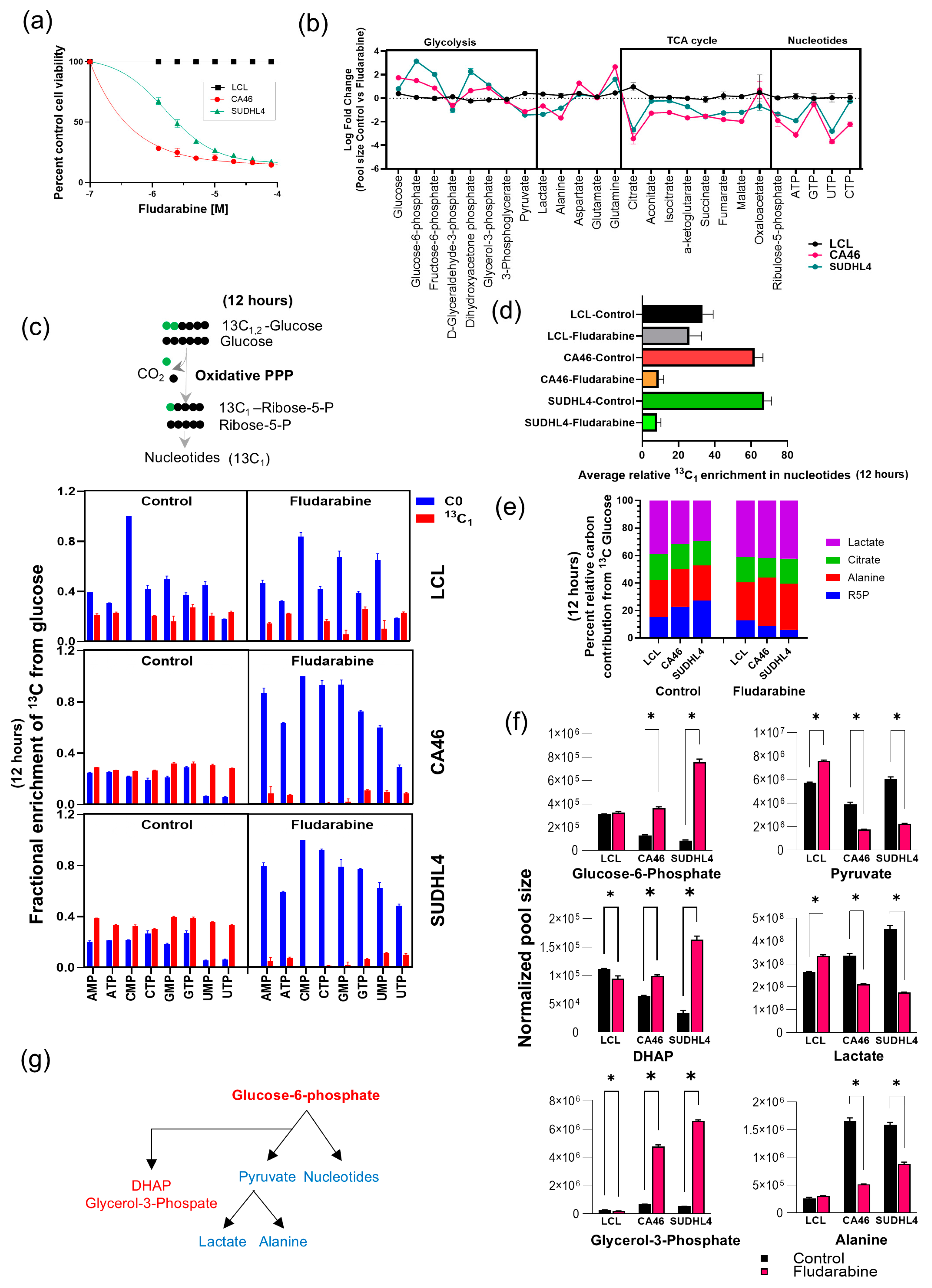 Cancers 16 03606 g006