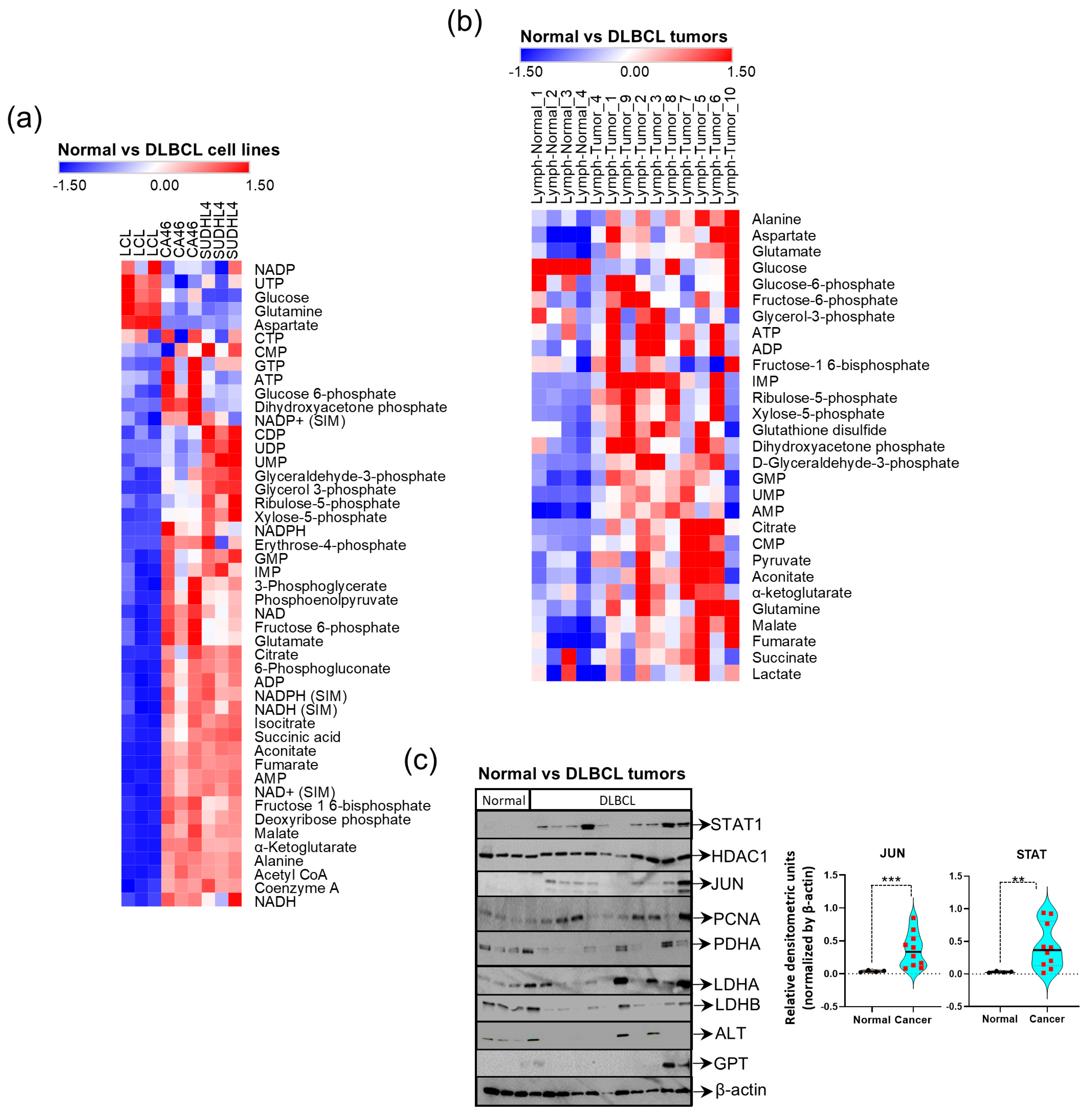 Cancers 16 03606 g008