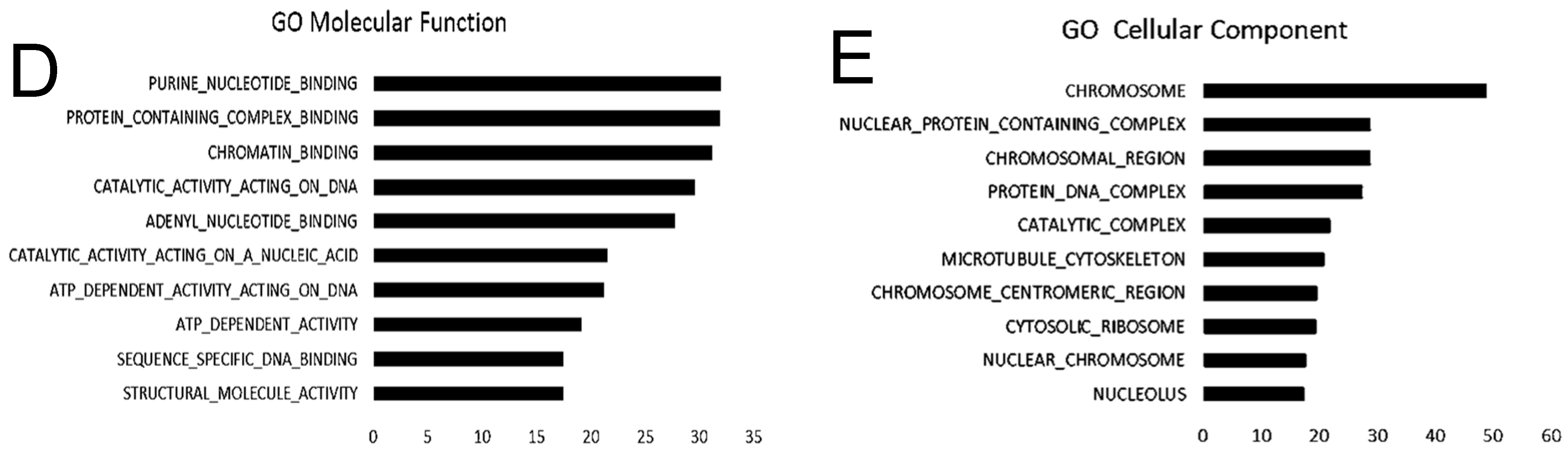 Cancers 16 03607 g001b
