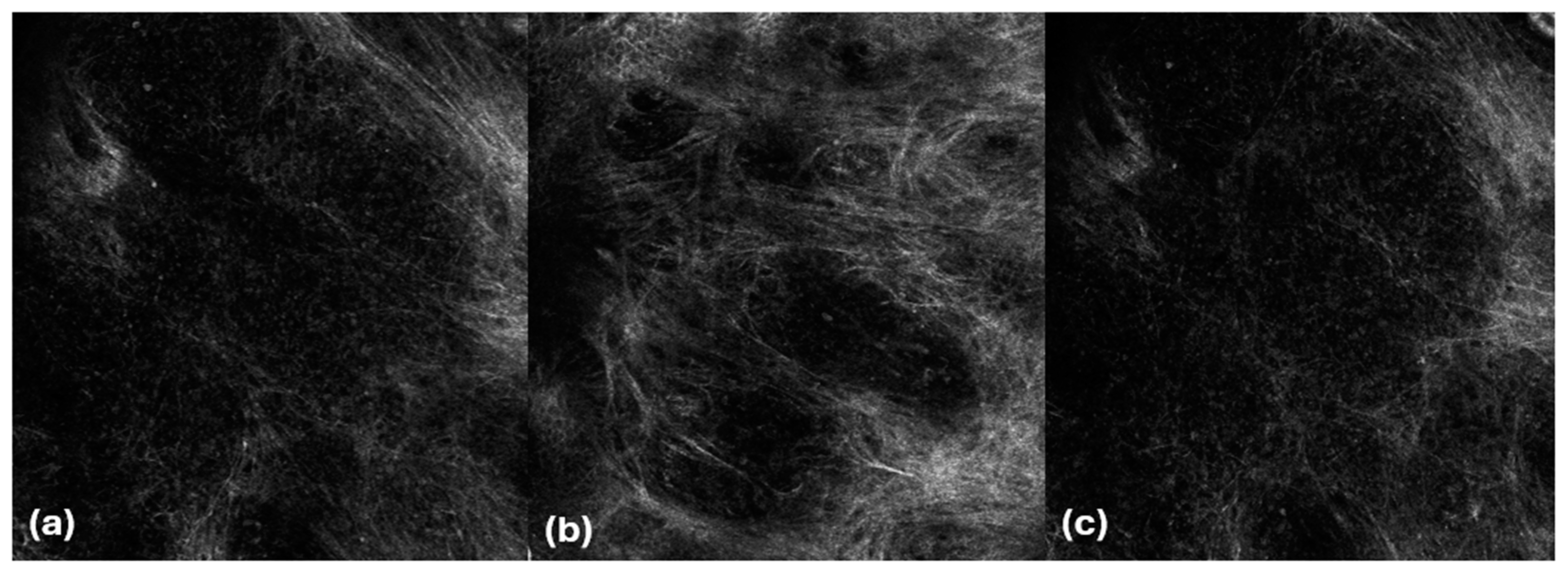 Cancers 16 03608 g009