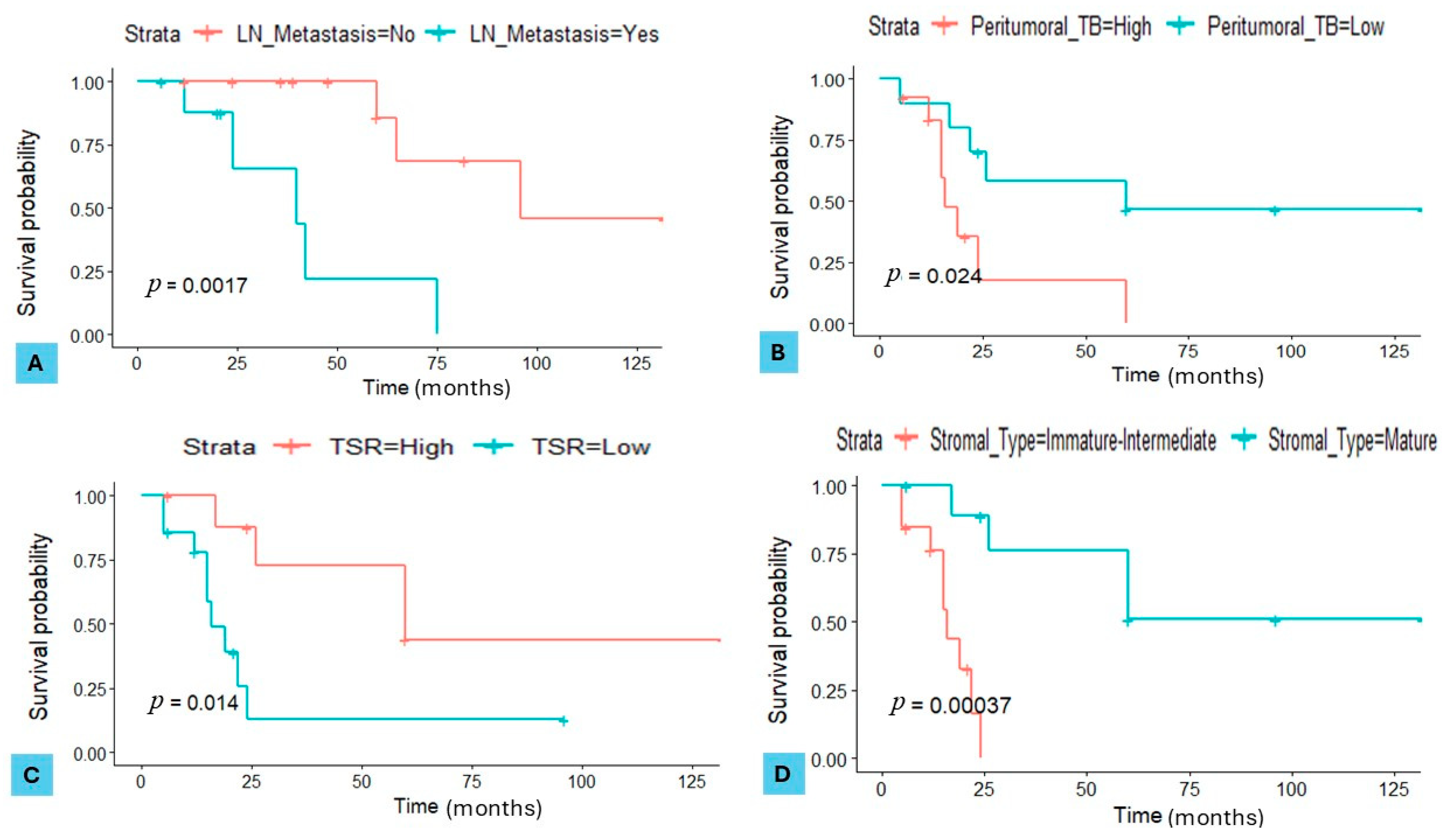 Cancers 16 03611 g004