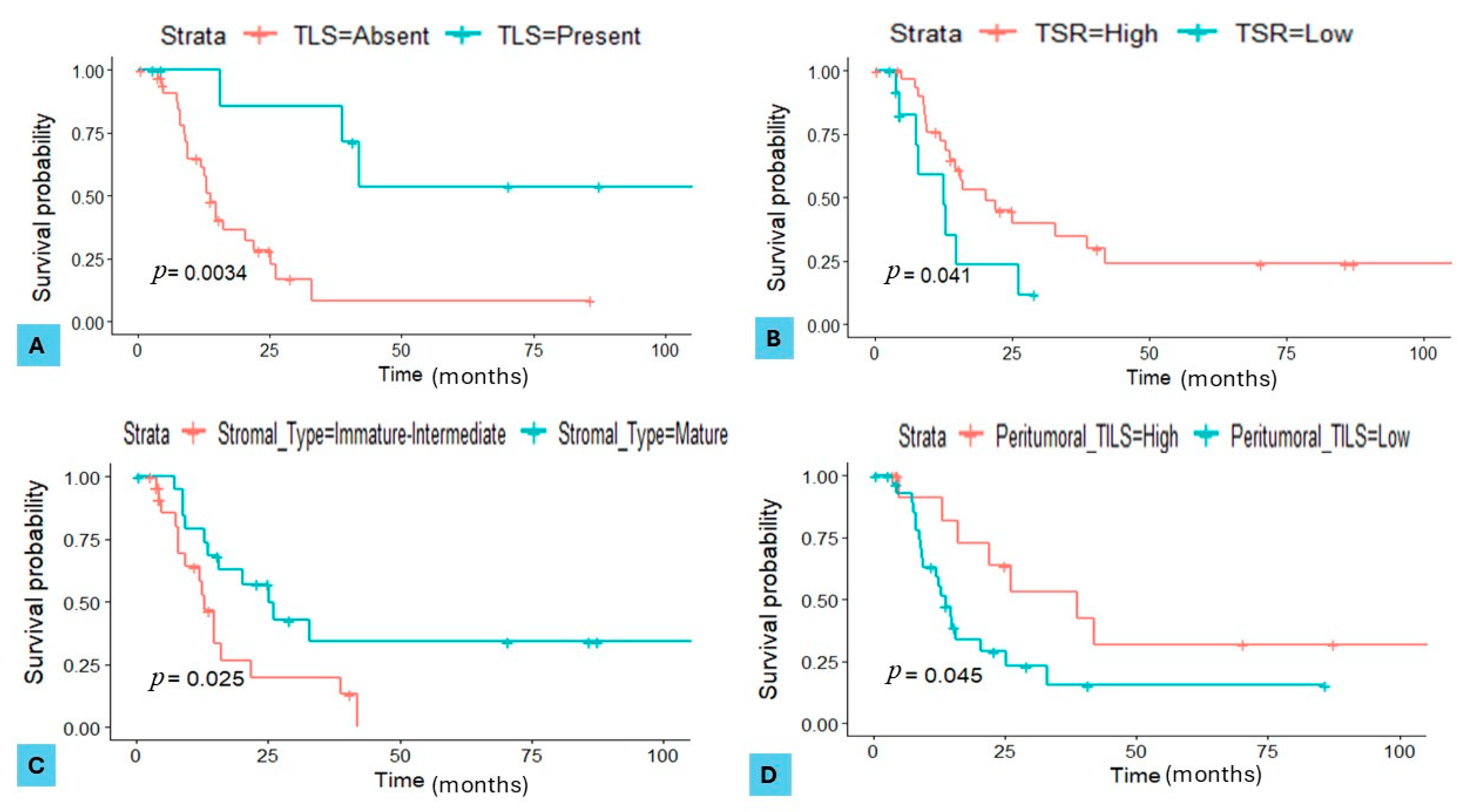 Cancers 16 03611 g005