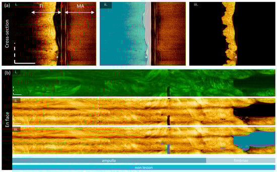 Cancers 16 03618 g002