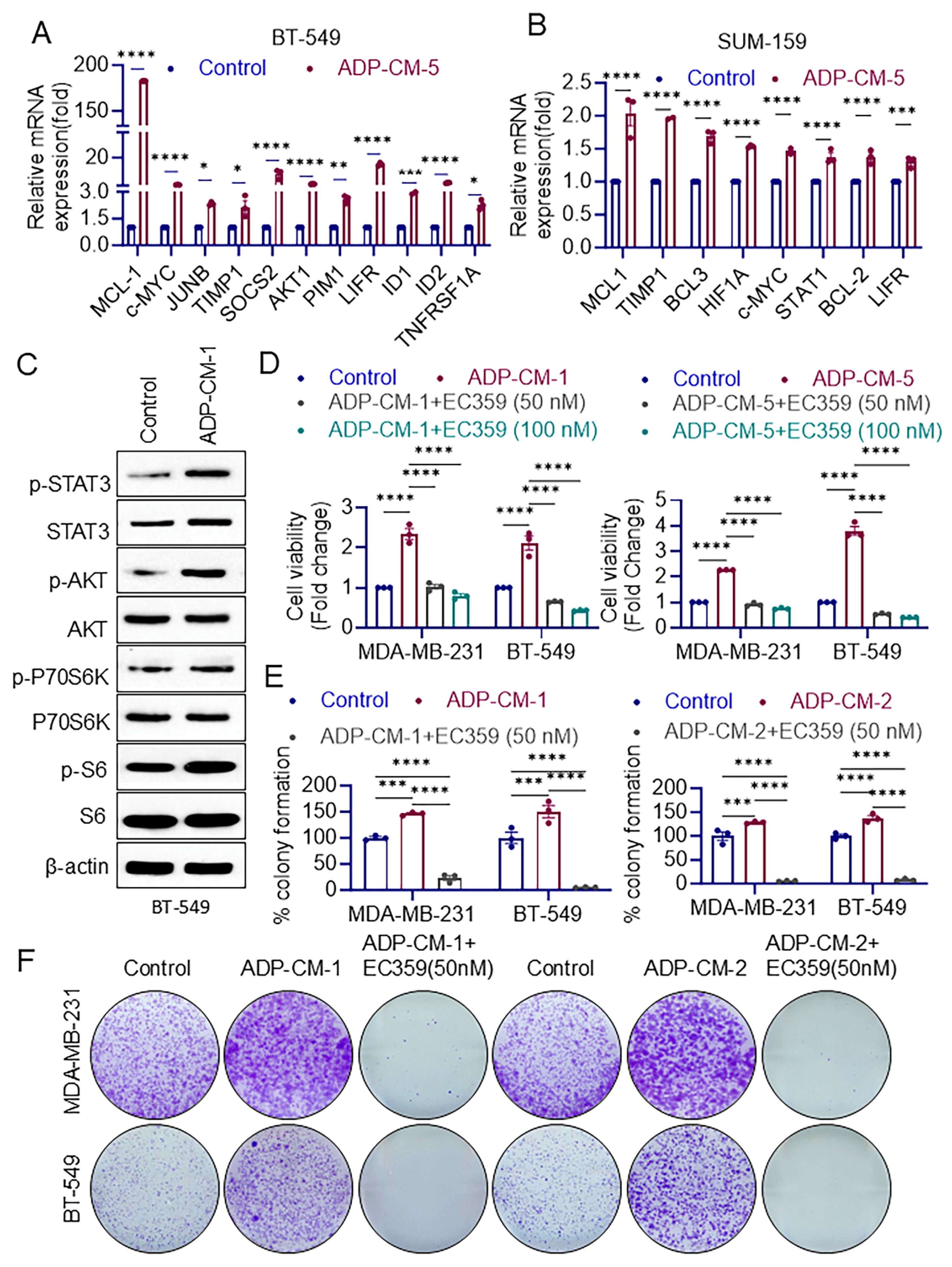 Cancers 16 03630 g001