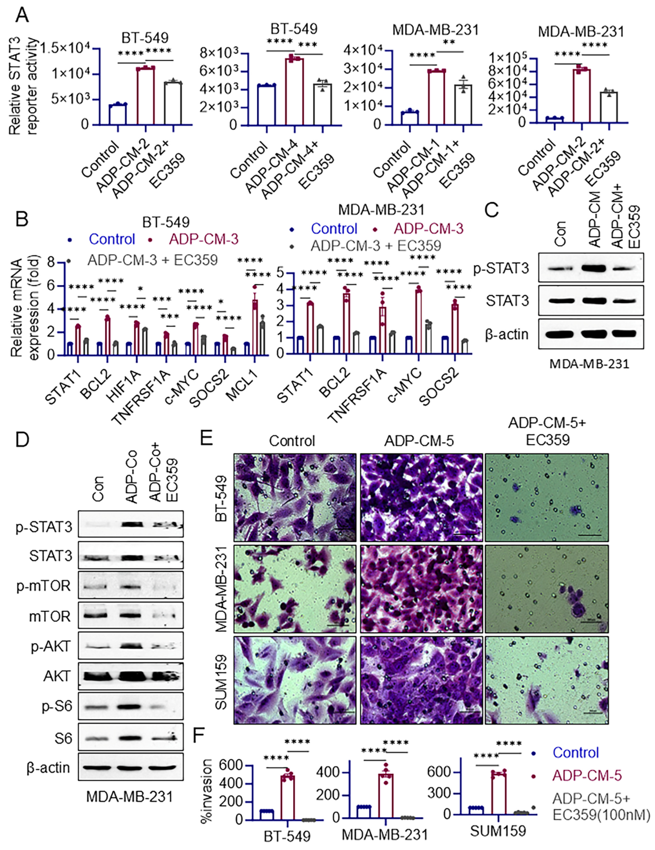 Cancers 16 03630 g002