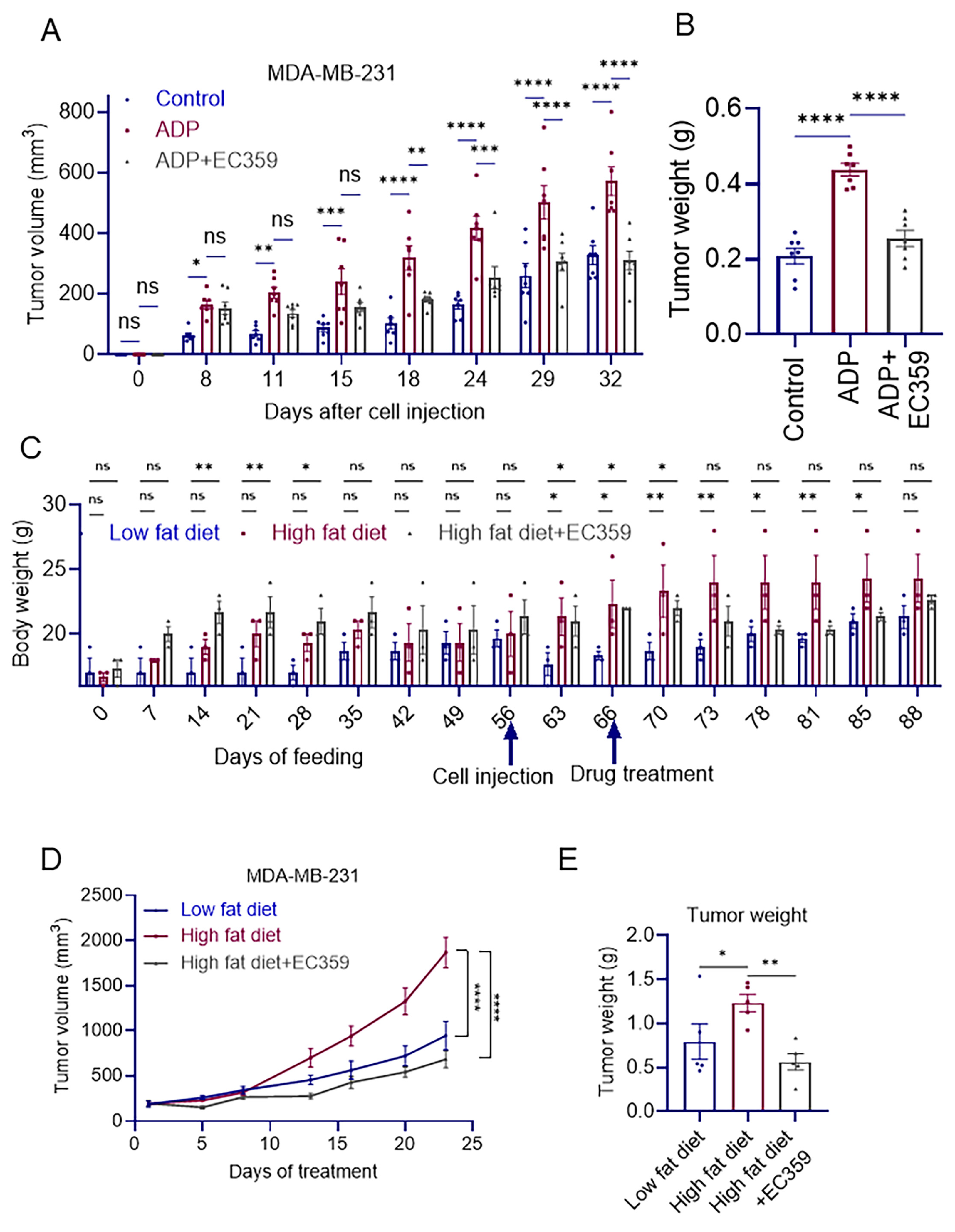Cancers 16 03630 g003