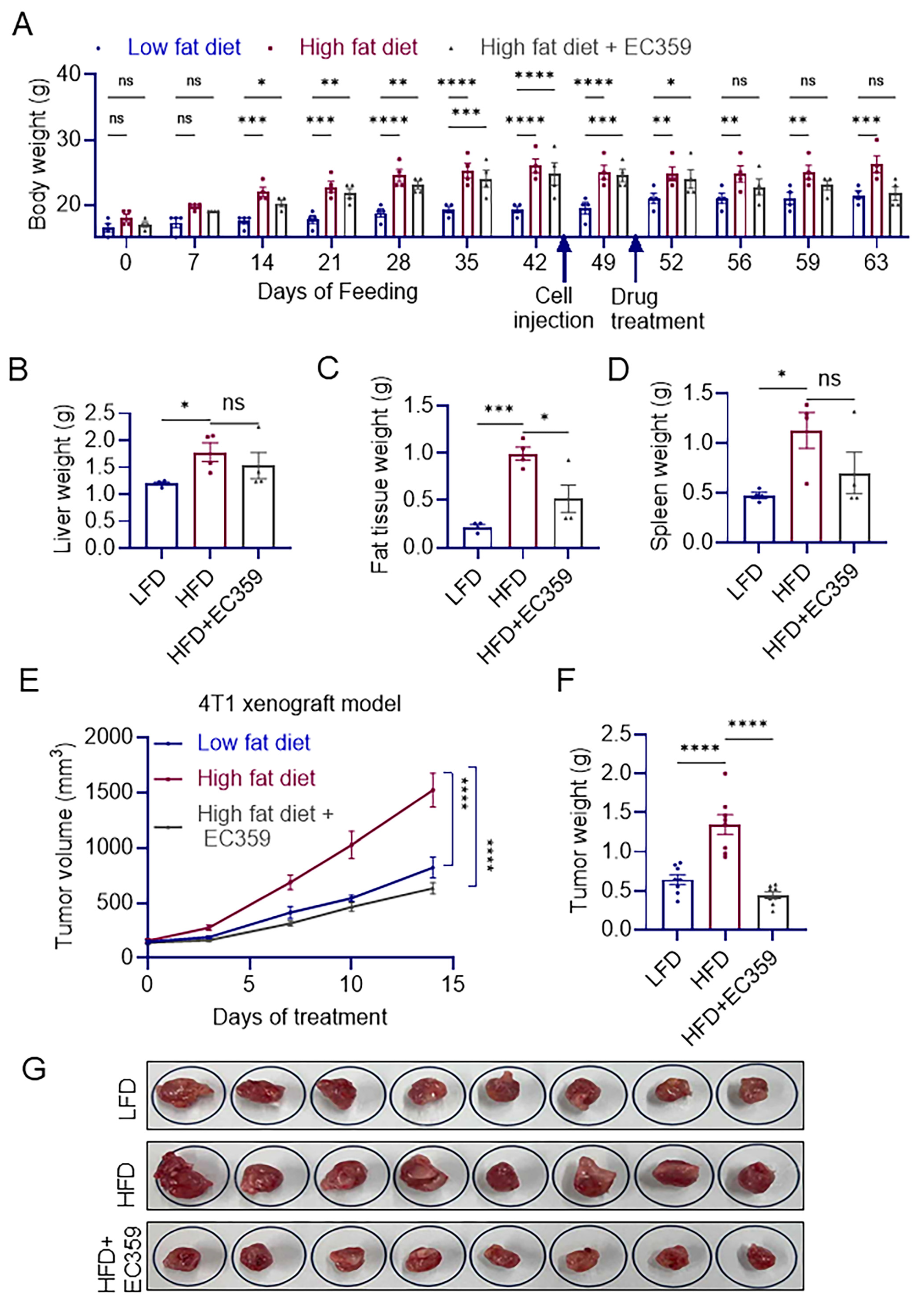 Cancers 16 03630 g004