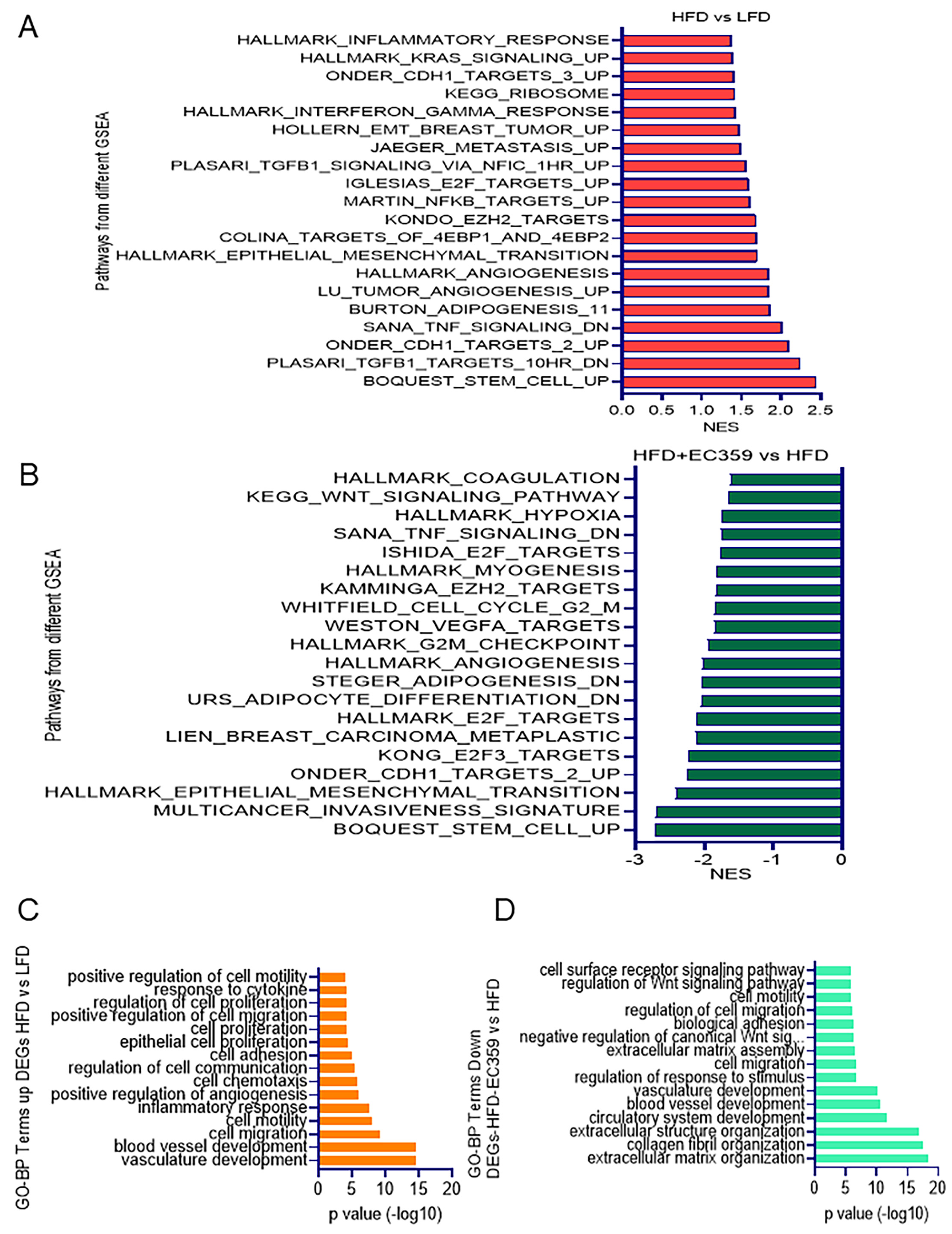 Cancers 16 03630 g005