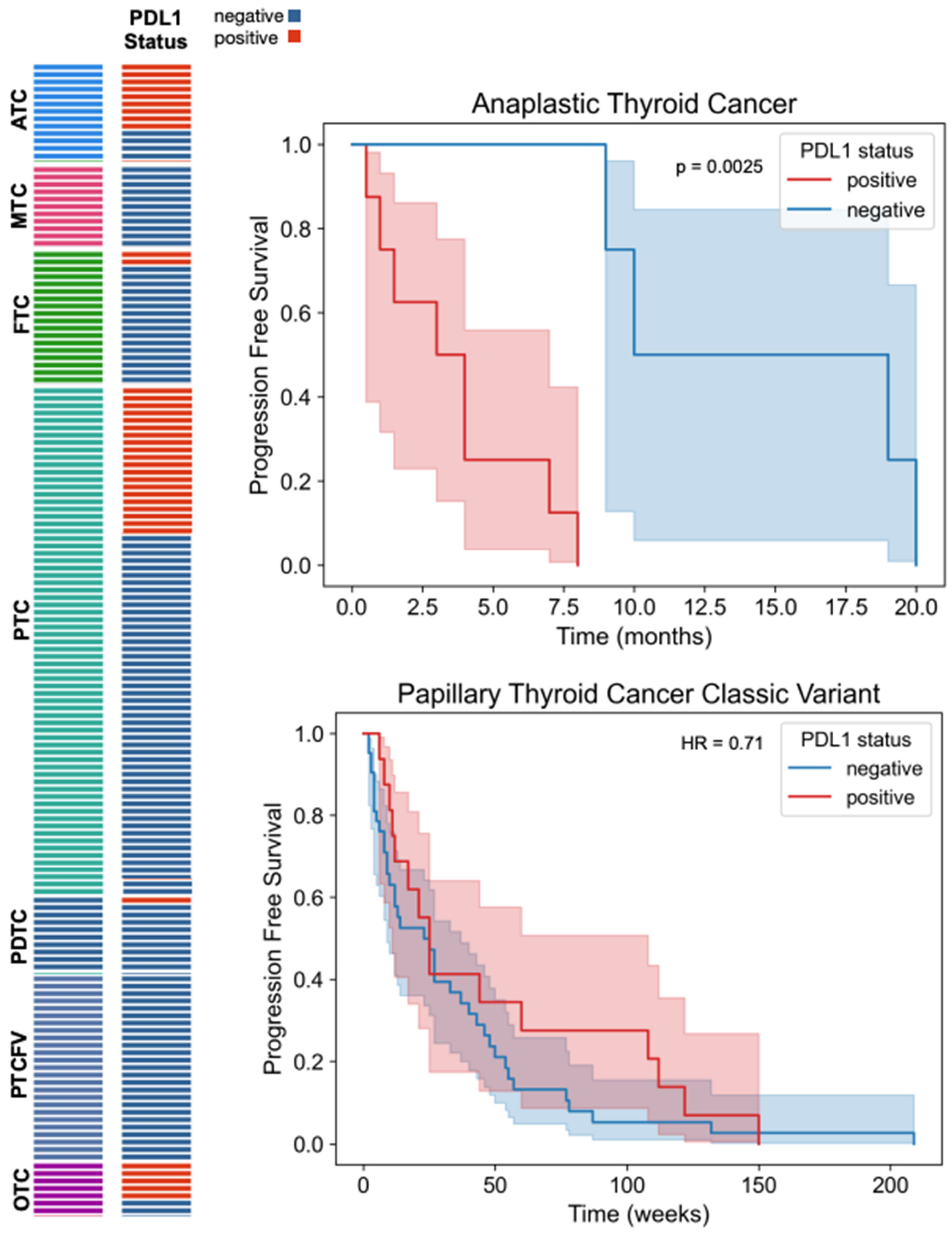 Cancers 16 03632 g002