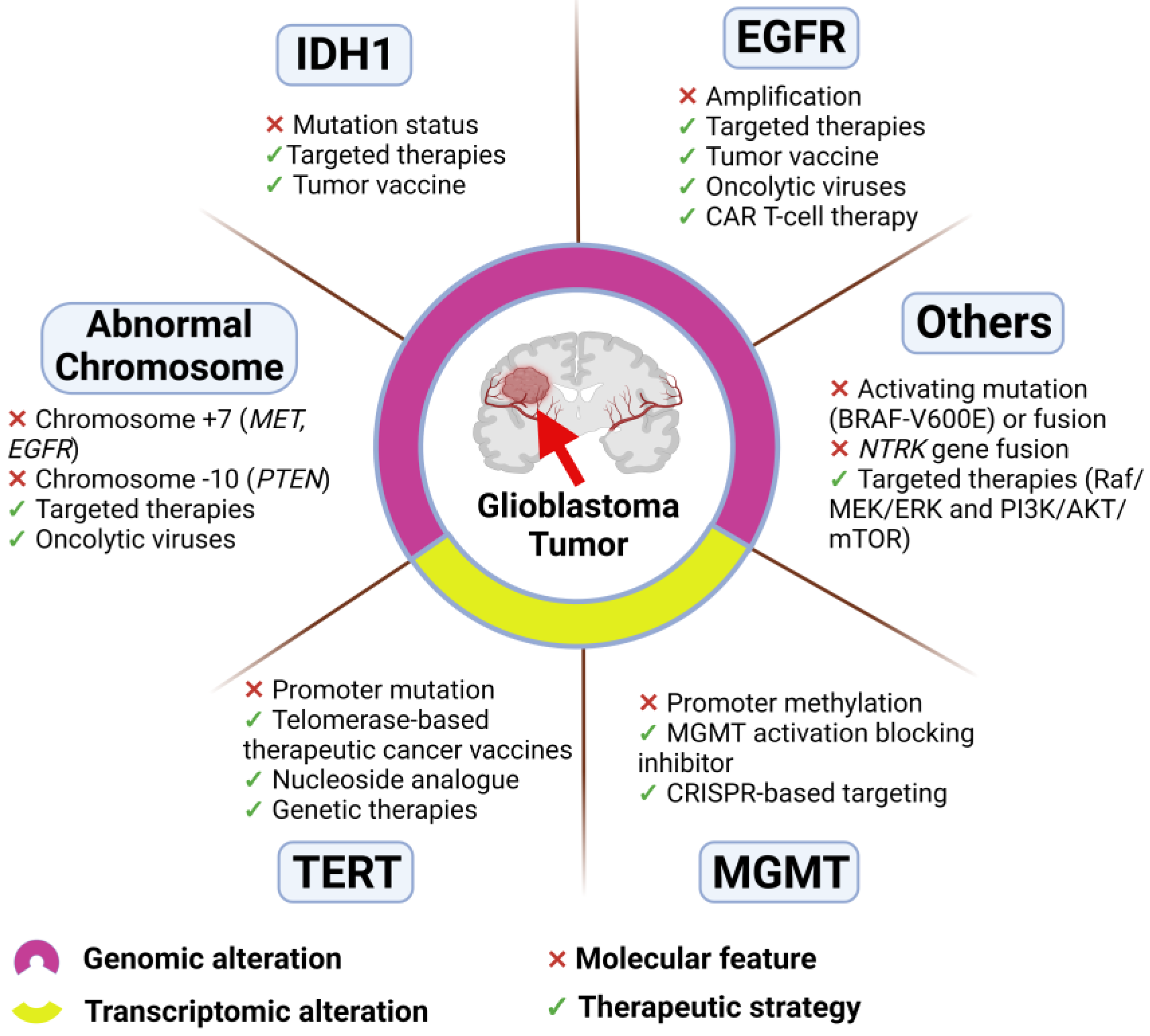 Cancers 16 03635 g001