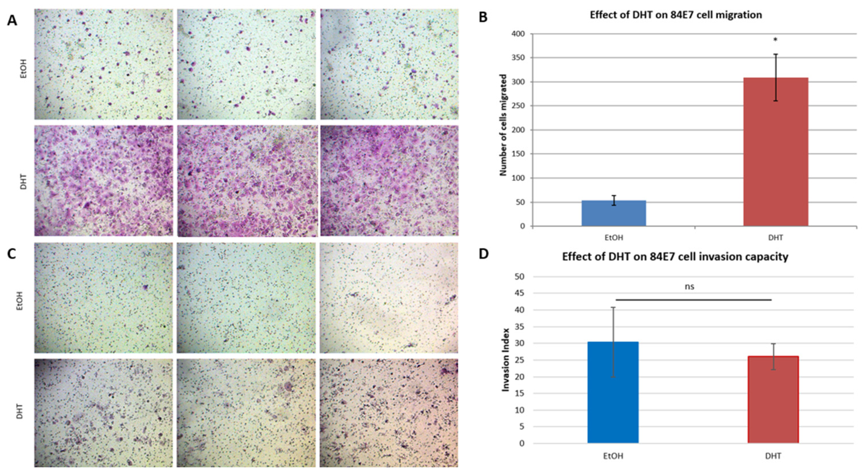 Cancers 16 03636 i001