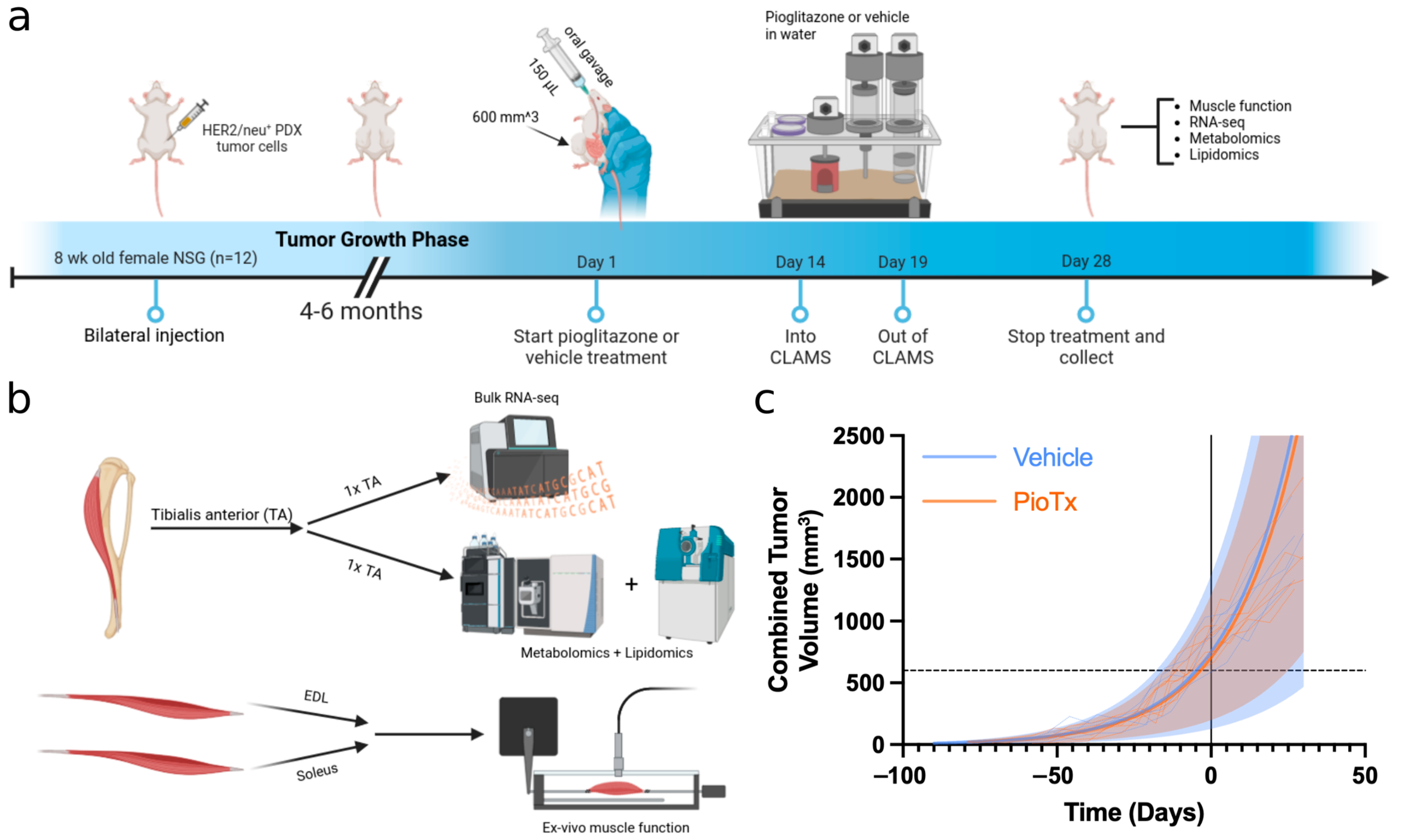 Cancers 16 03640 g001