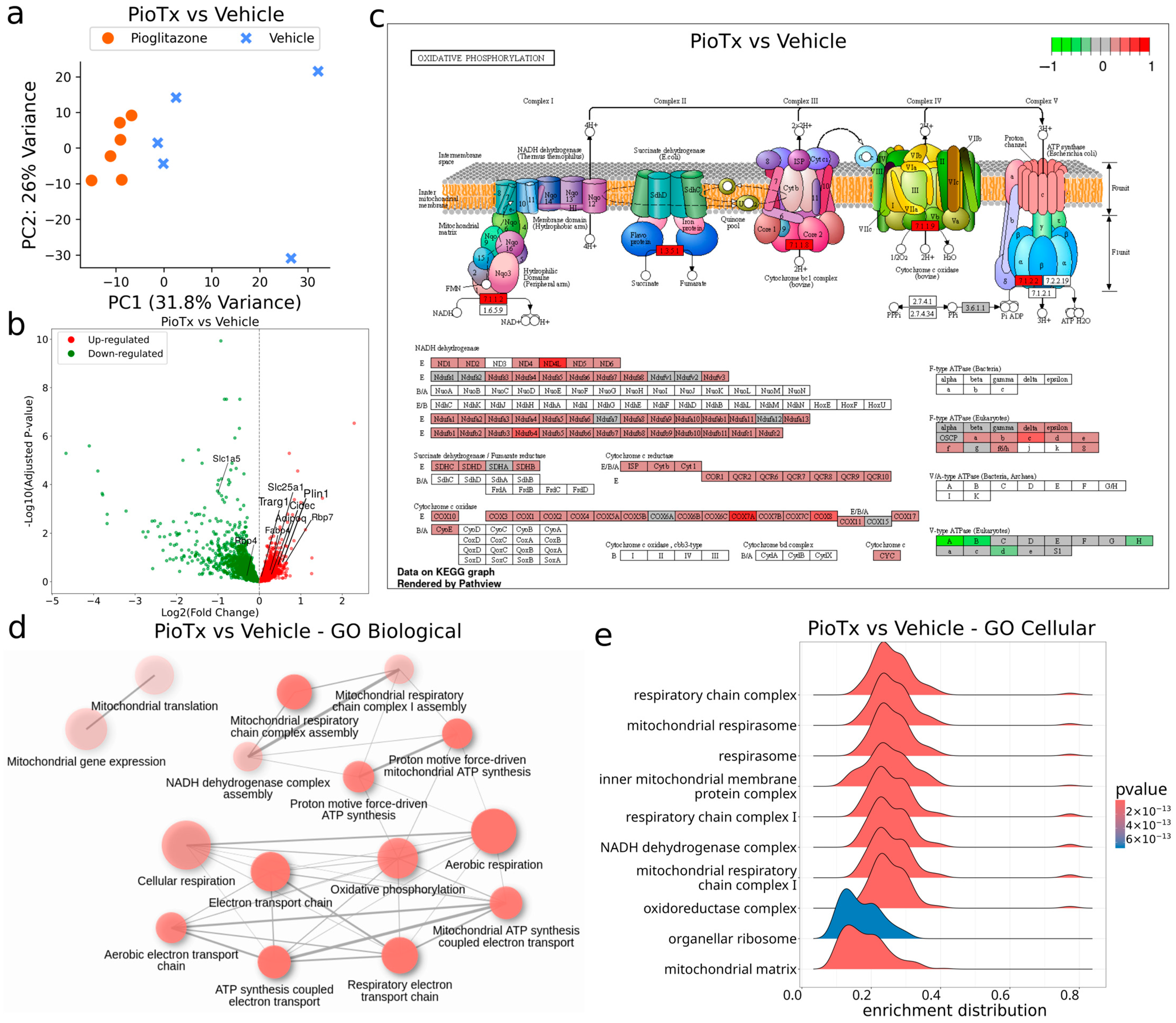 Cancers 16 03640 g003