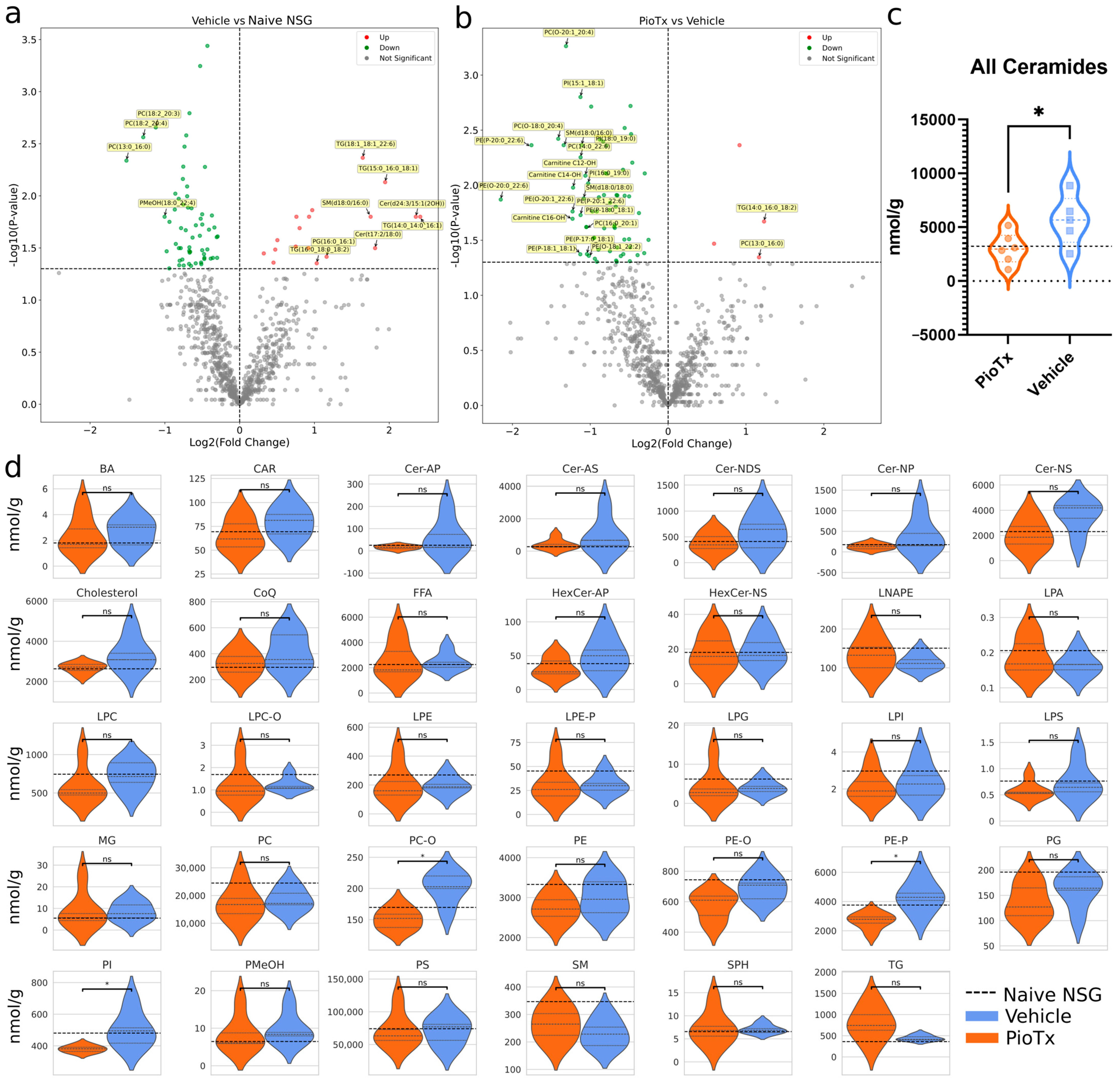 Cancers 16 03640 g004