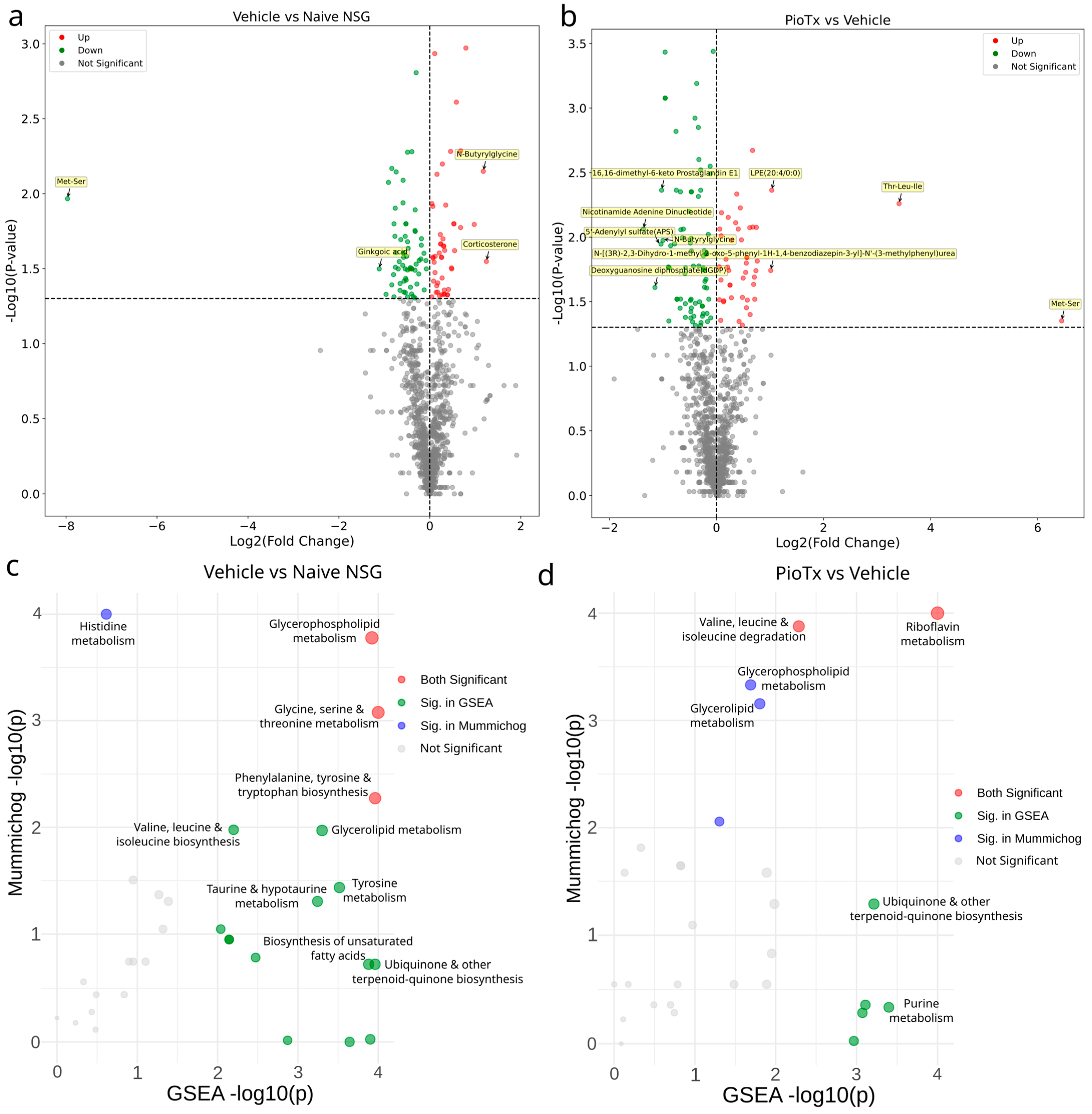 Cancers 16 03640 g005