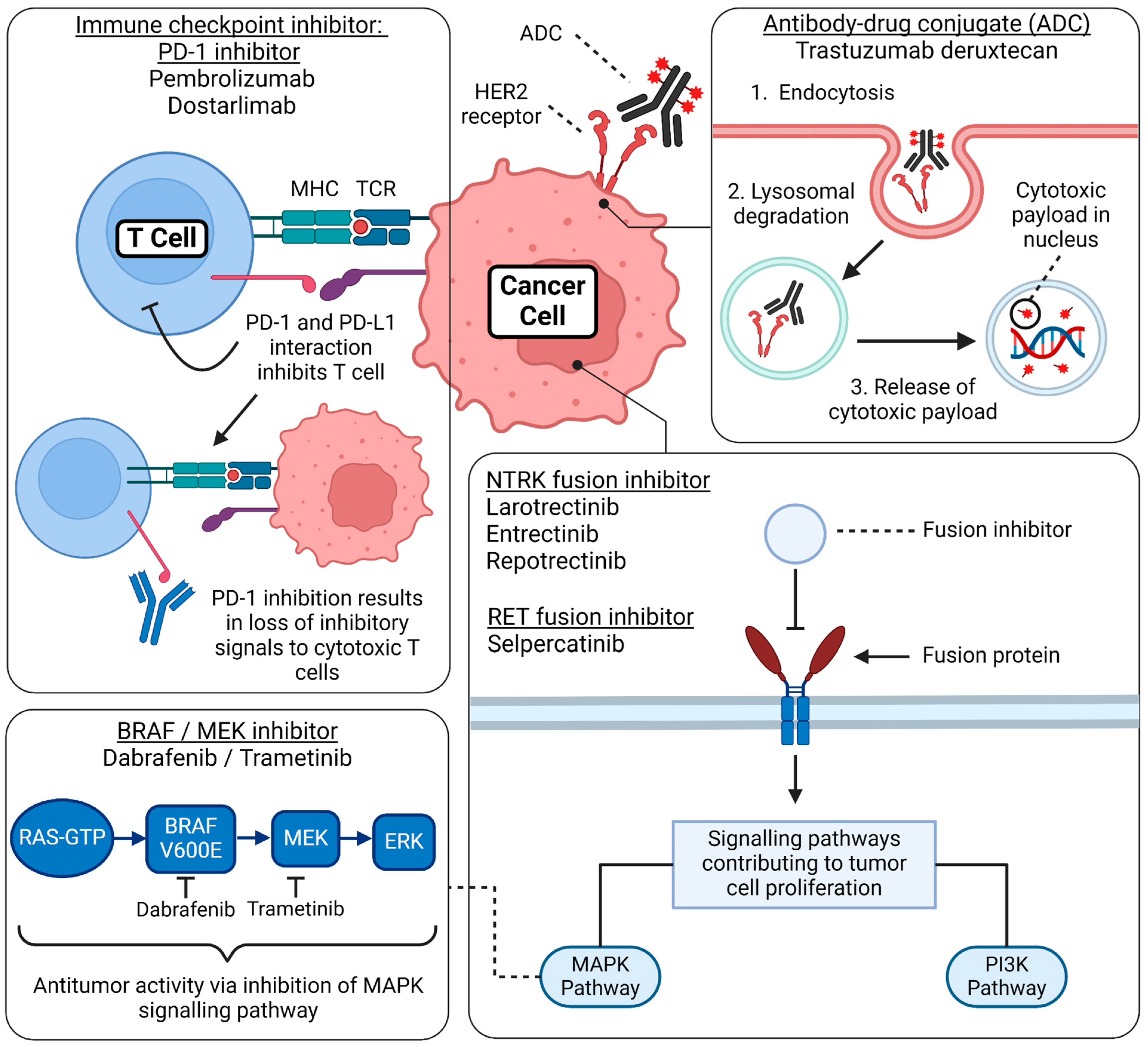 Cancers 16 03642 g003