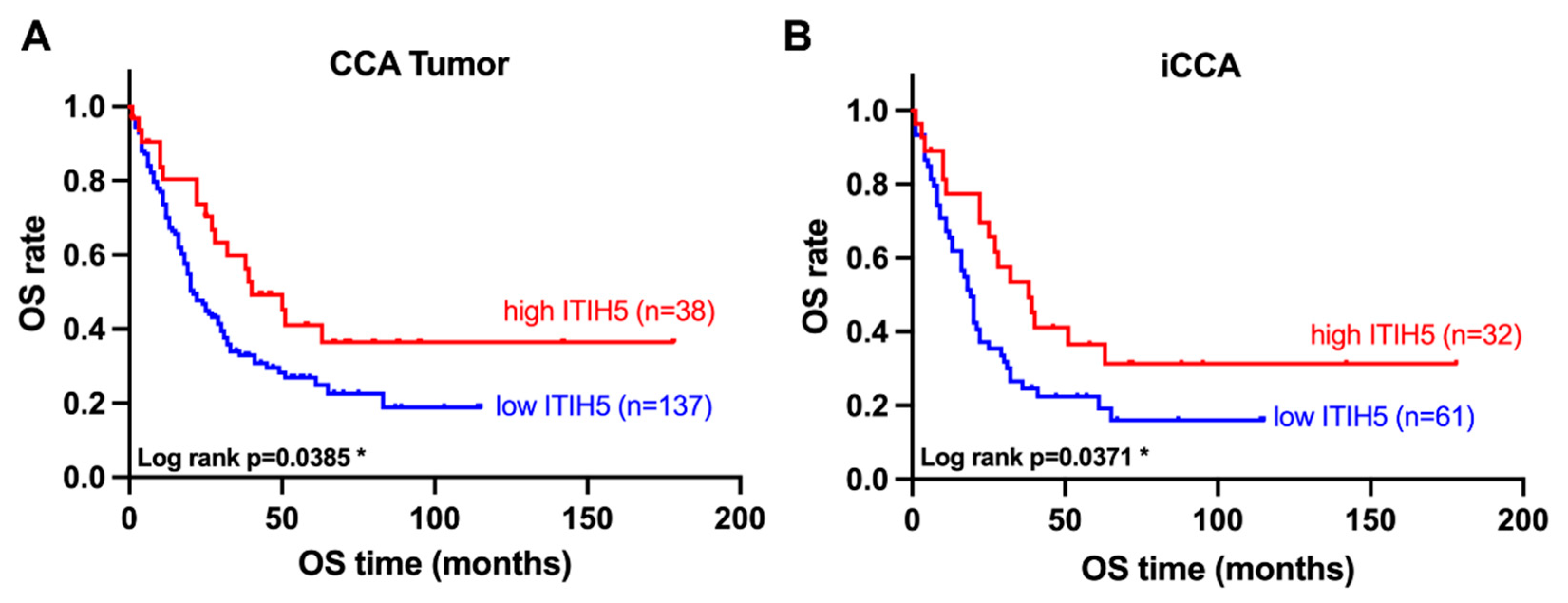 Cancers 16 03647 g002