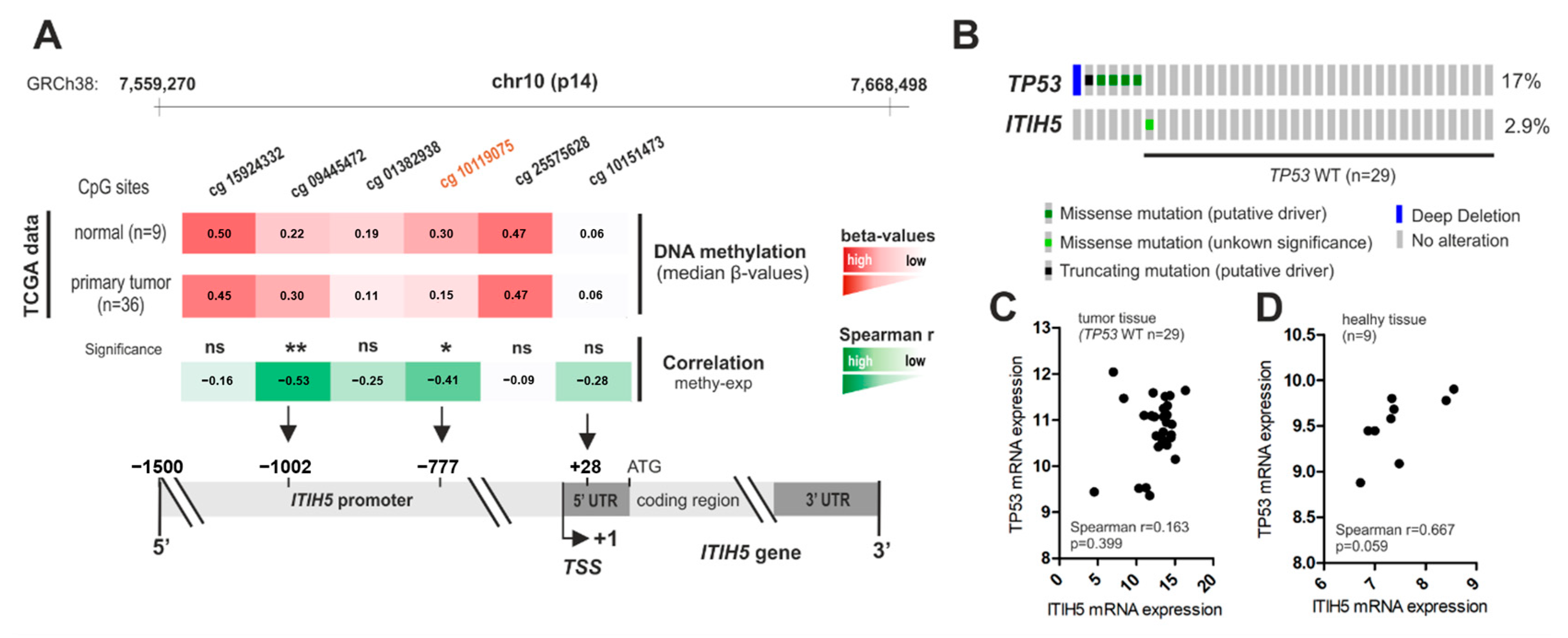 Cancers 16 03647 g005
