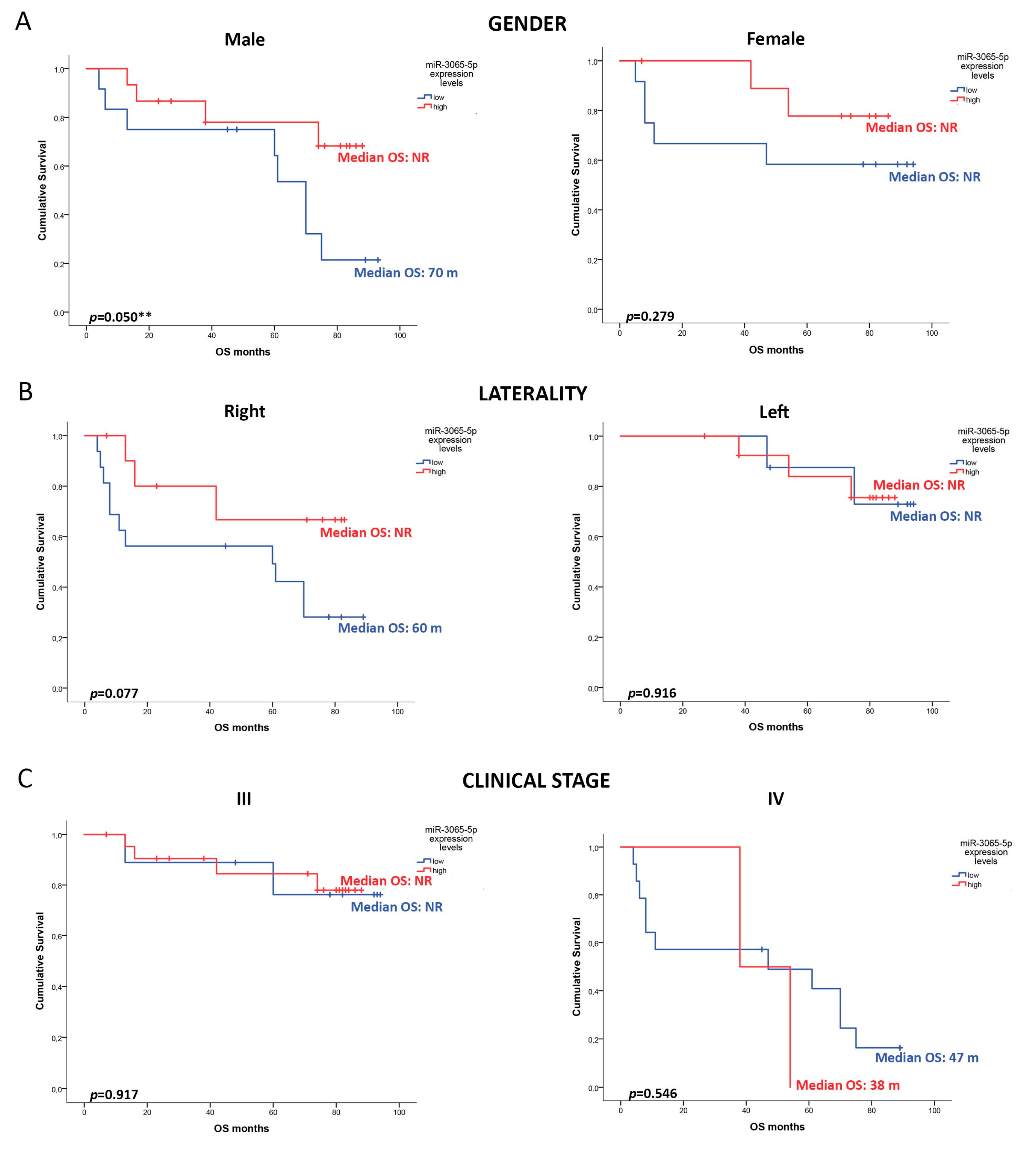 Cancers 16 03649 g004
