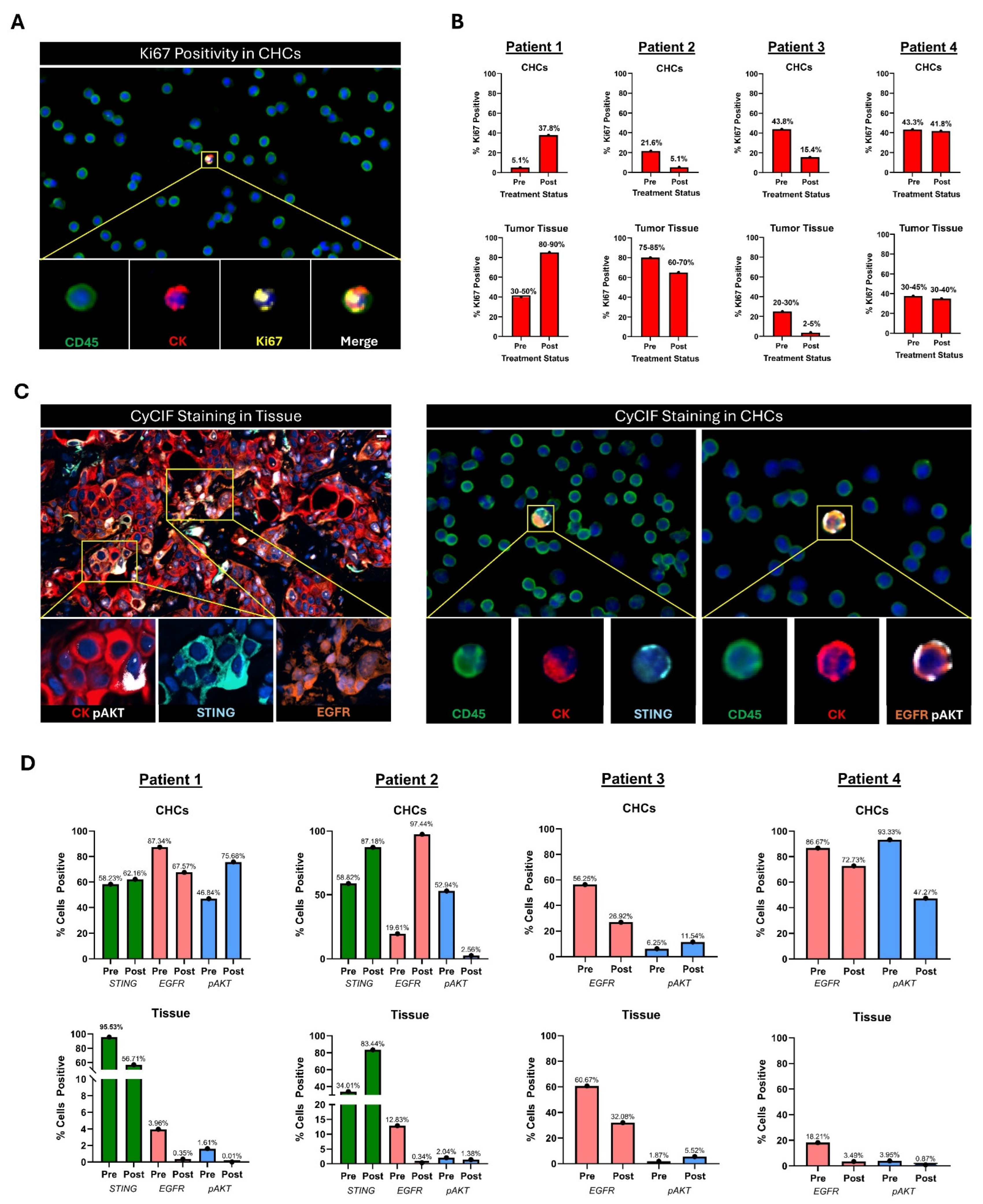 Cancers 16 03650 g005