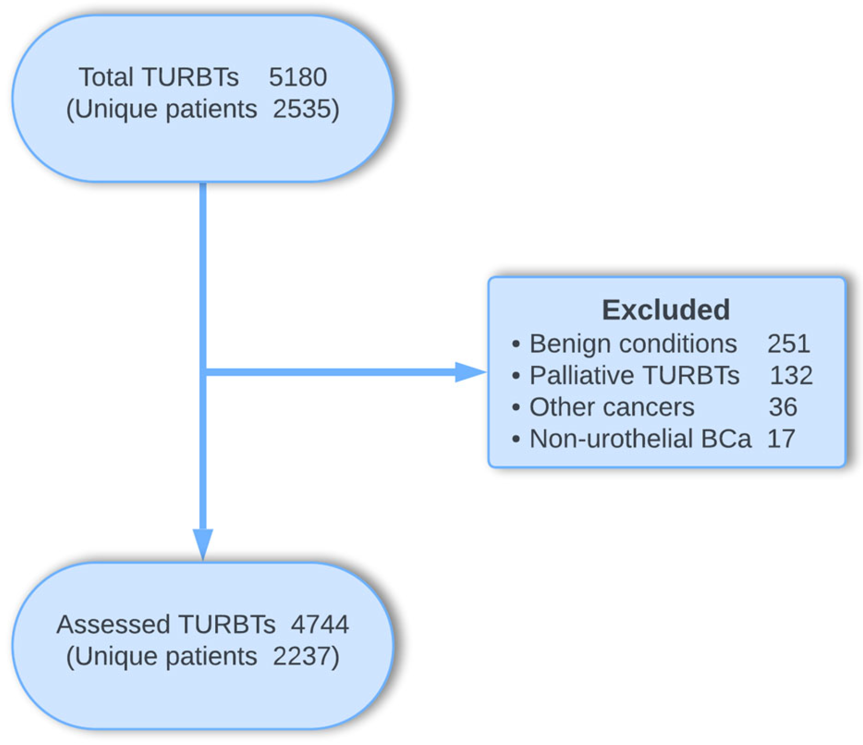 Cancers 16 03653 g001