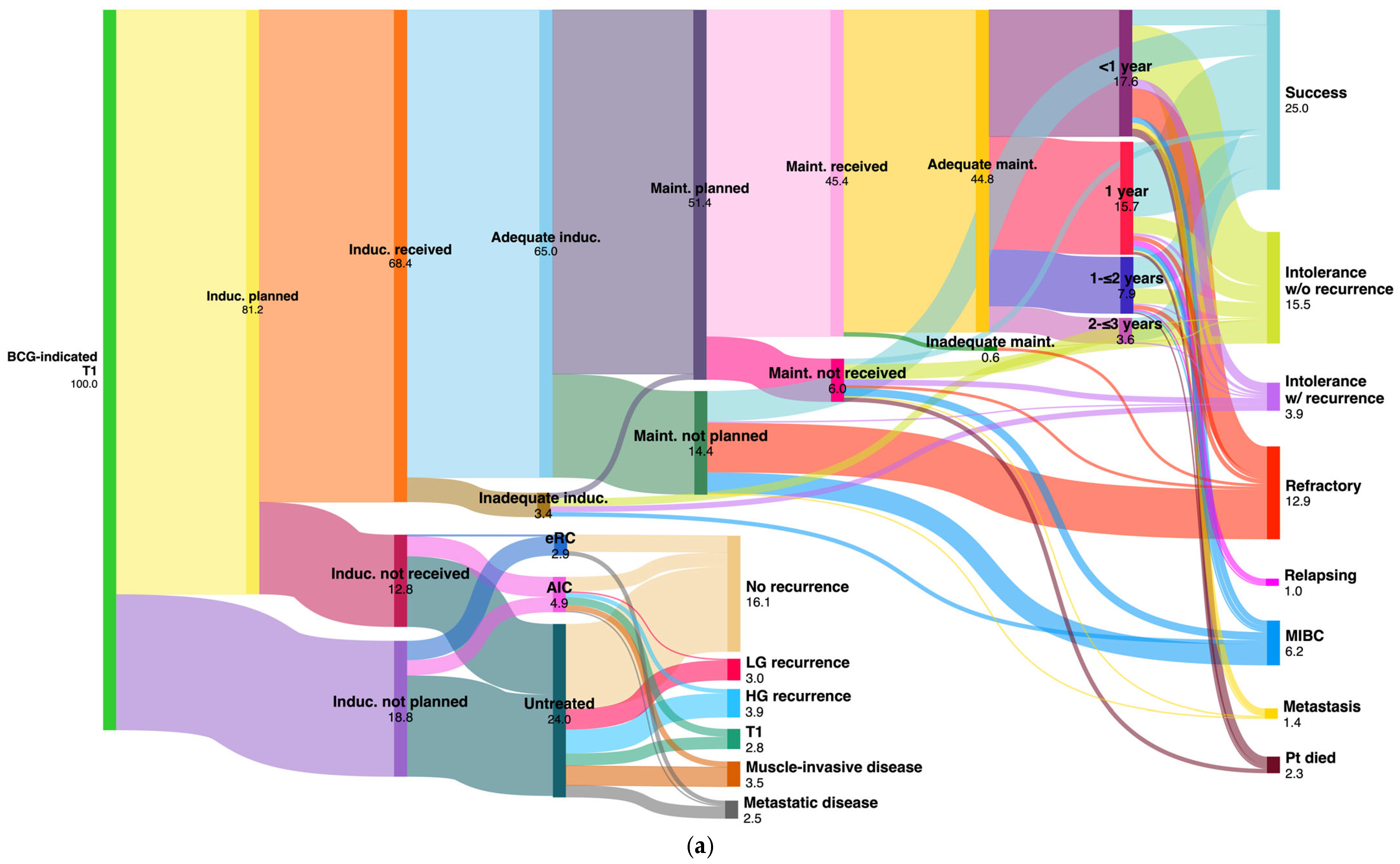 Cancers 16 03653 g003a