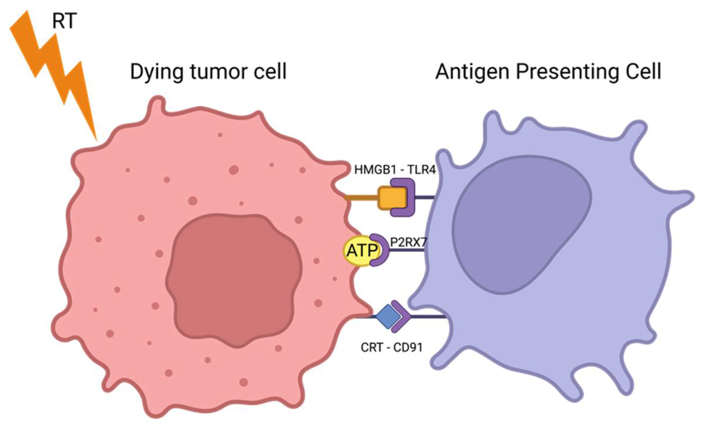 Cancers 16 03656 g002