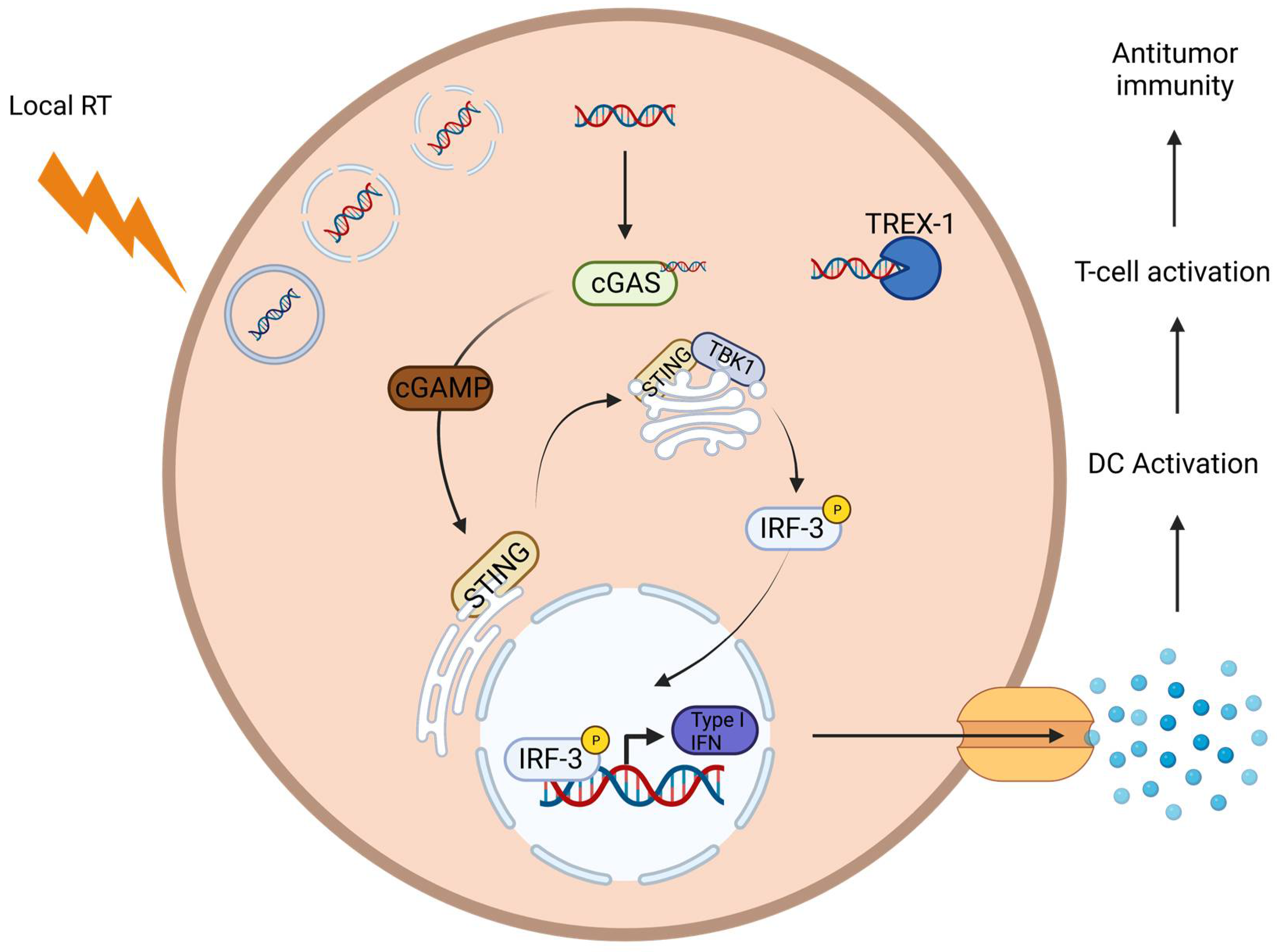 Cancers 16 03656 g003
