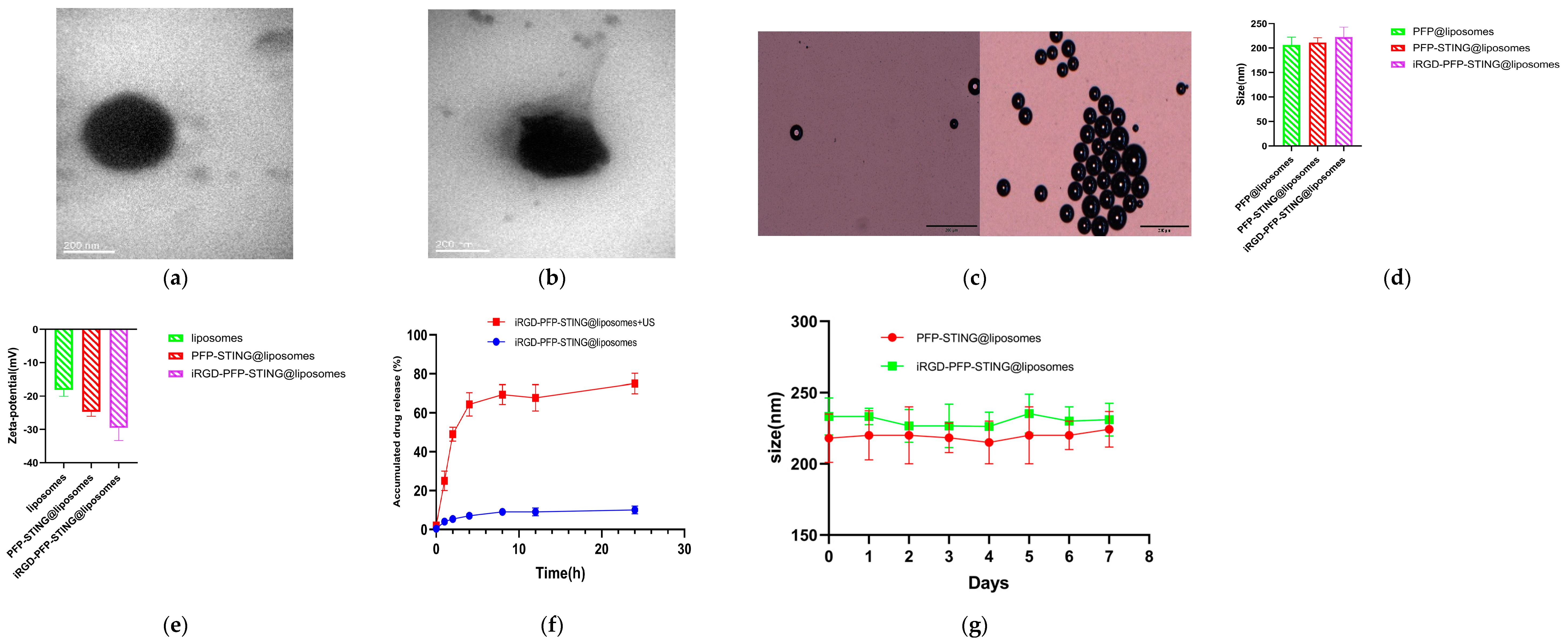 Cancers 16 03657 g001