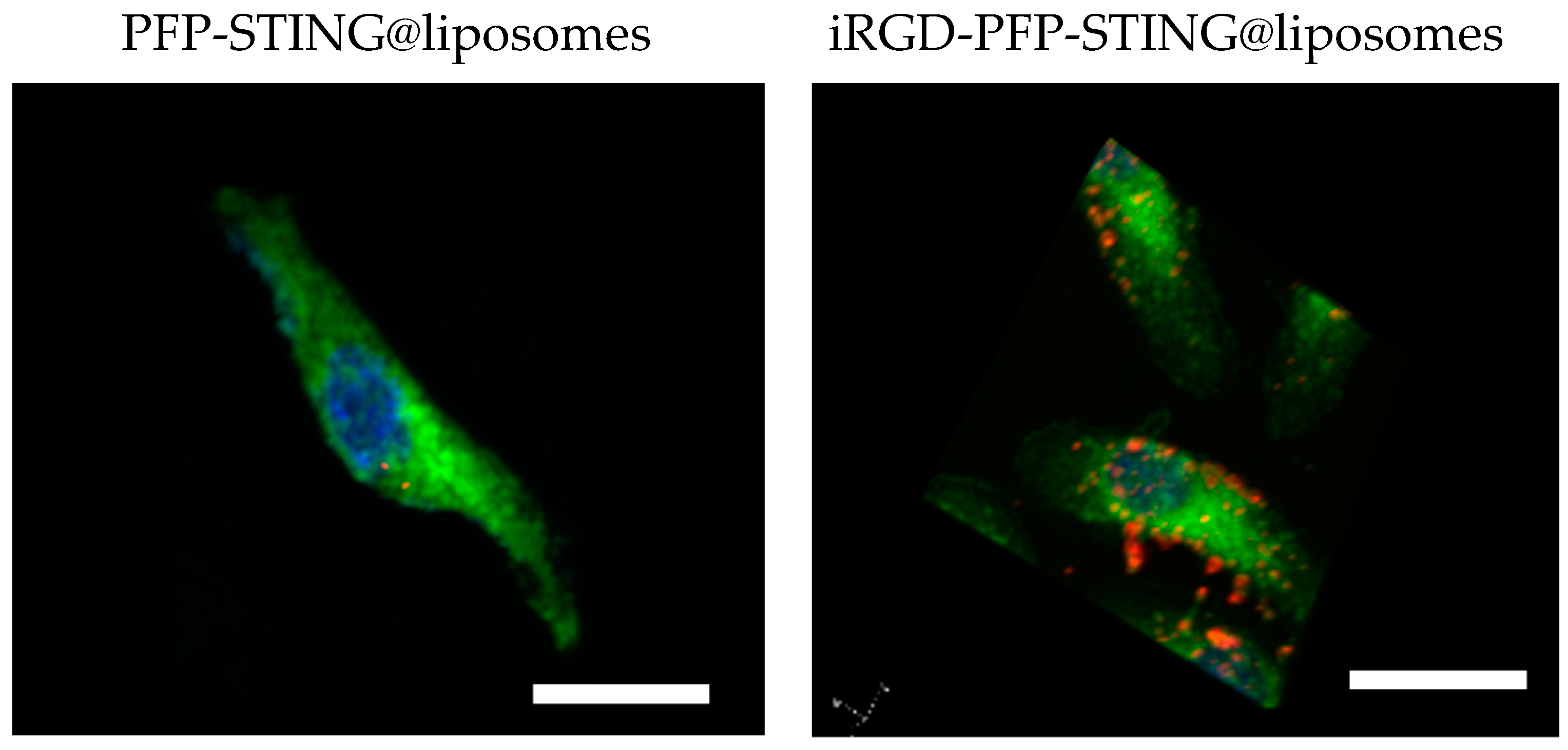 Cancers 16 03657 g002