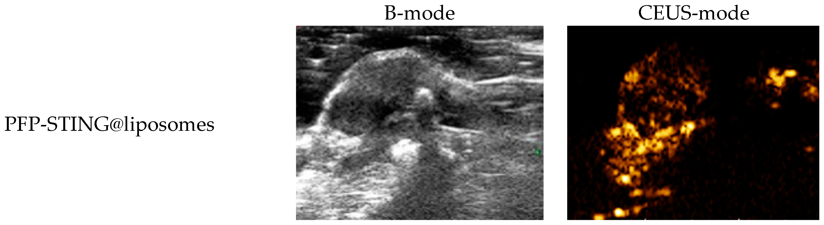 Cancers 16 03657 g005a