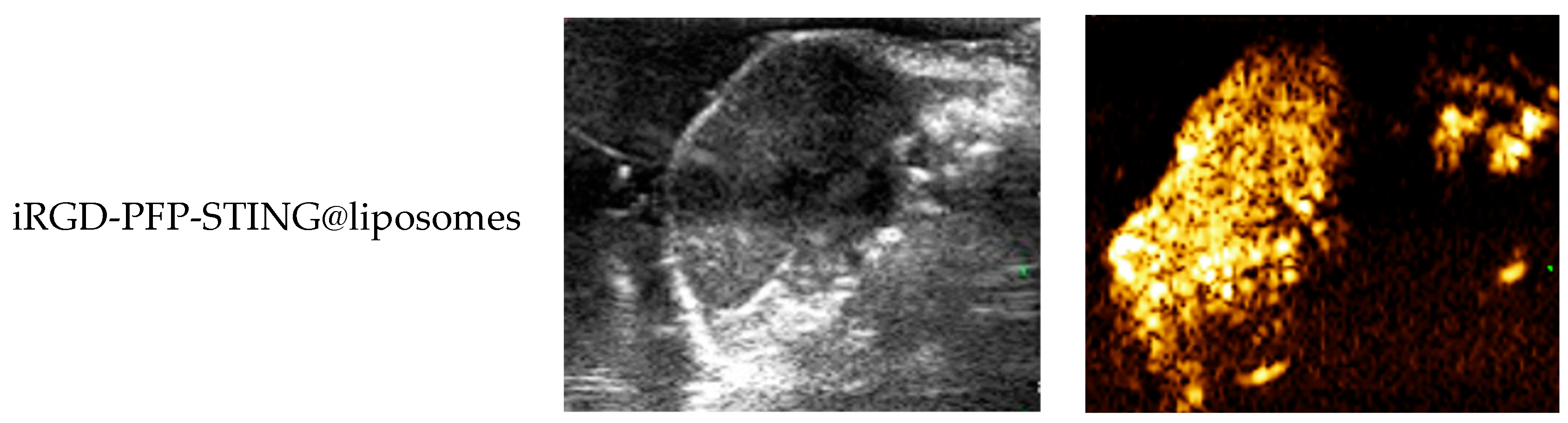 Cancers 16 03657 g005b