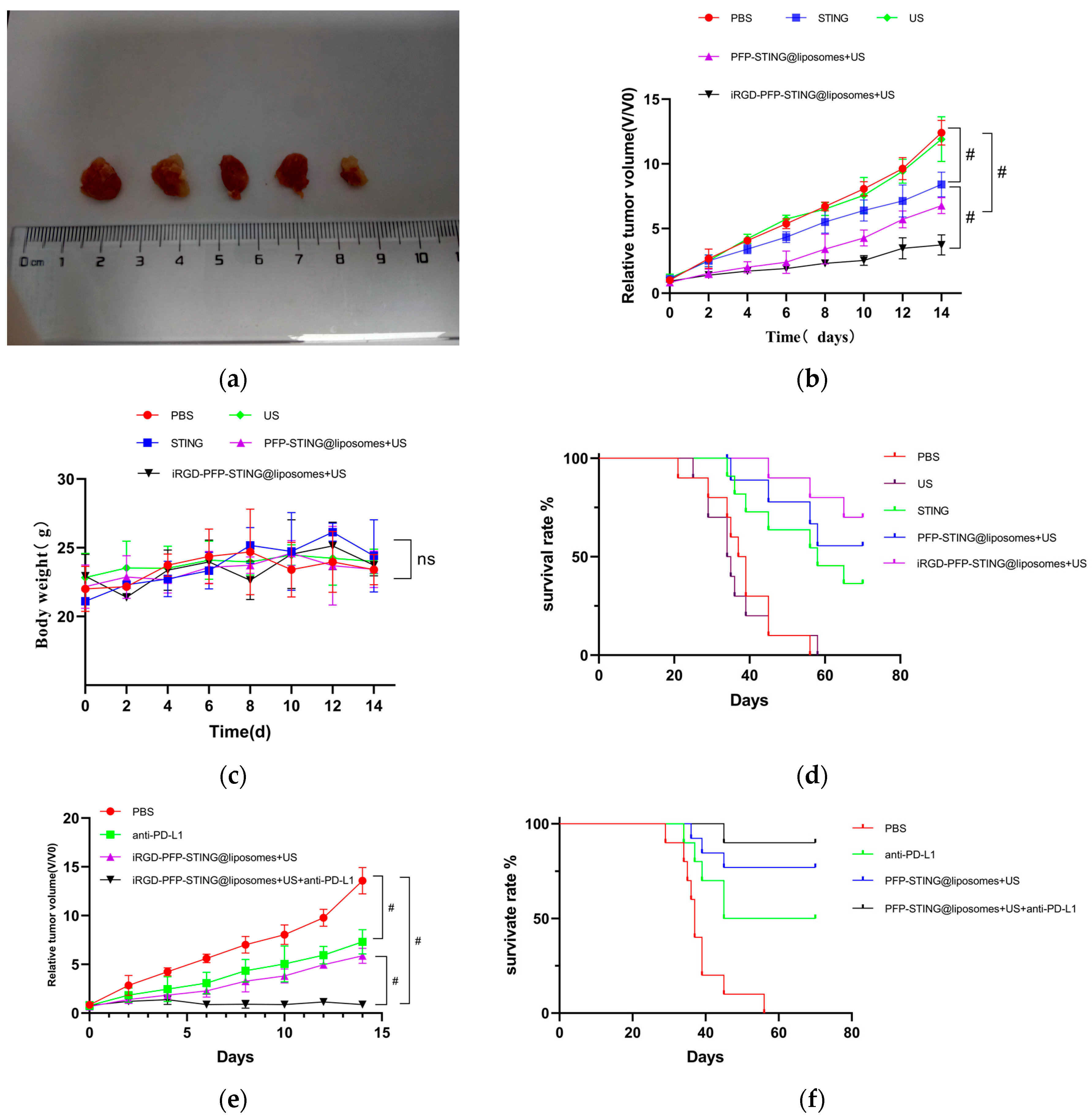 Cancers 16 03657 g007