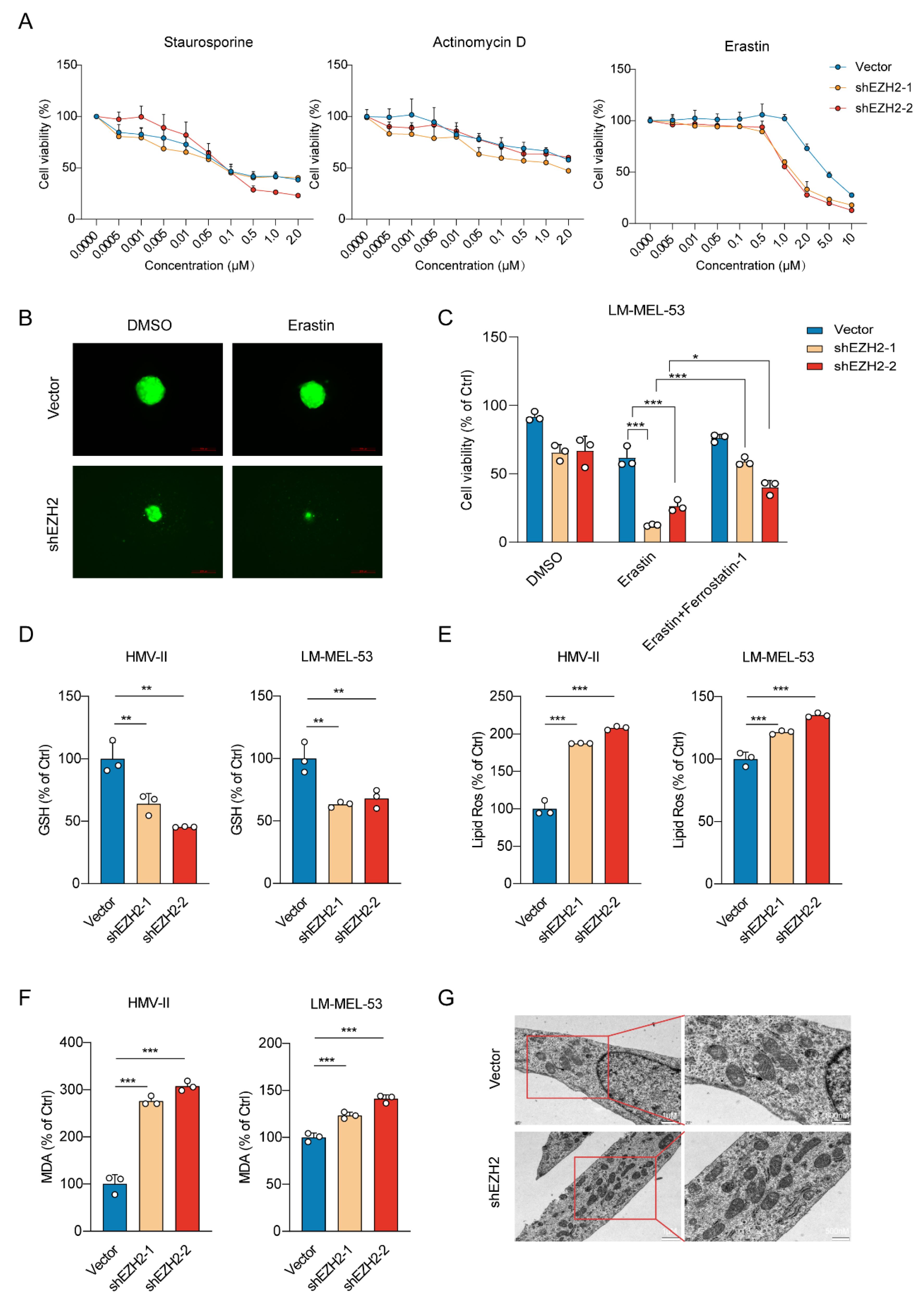 Cancers 16 03660 g004