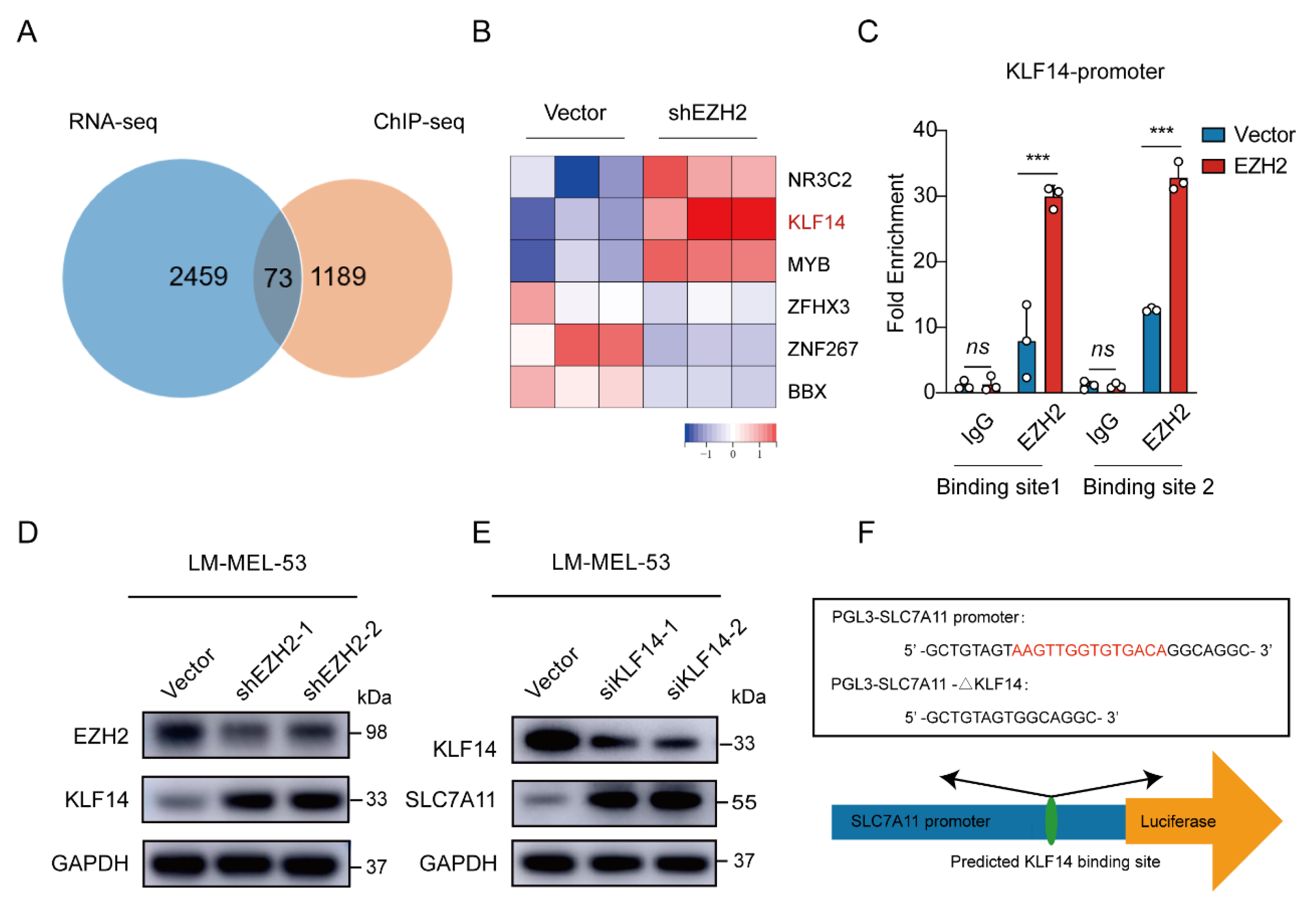 Cancers 16 03660 g006a