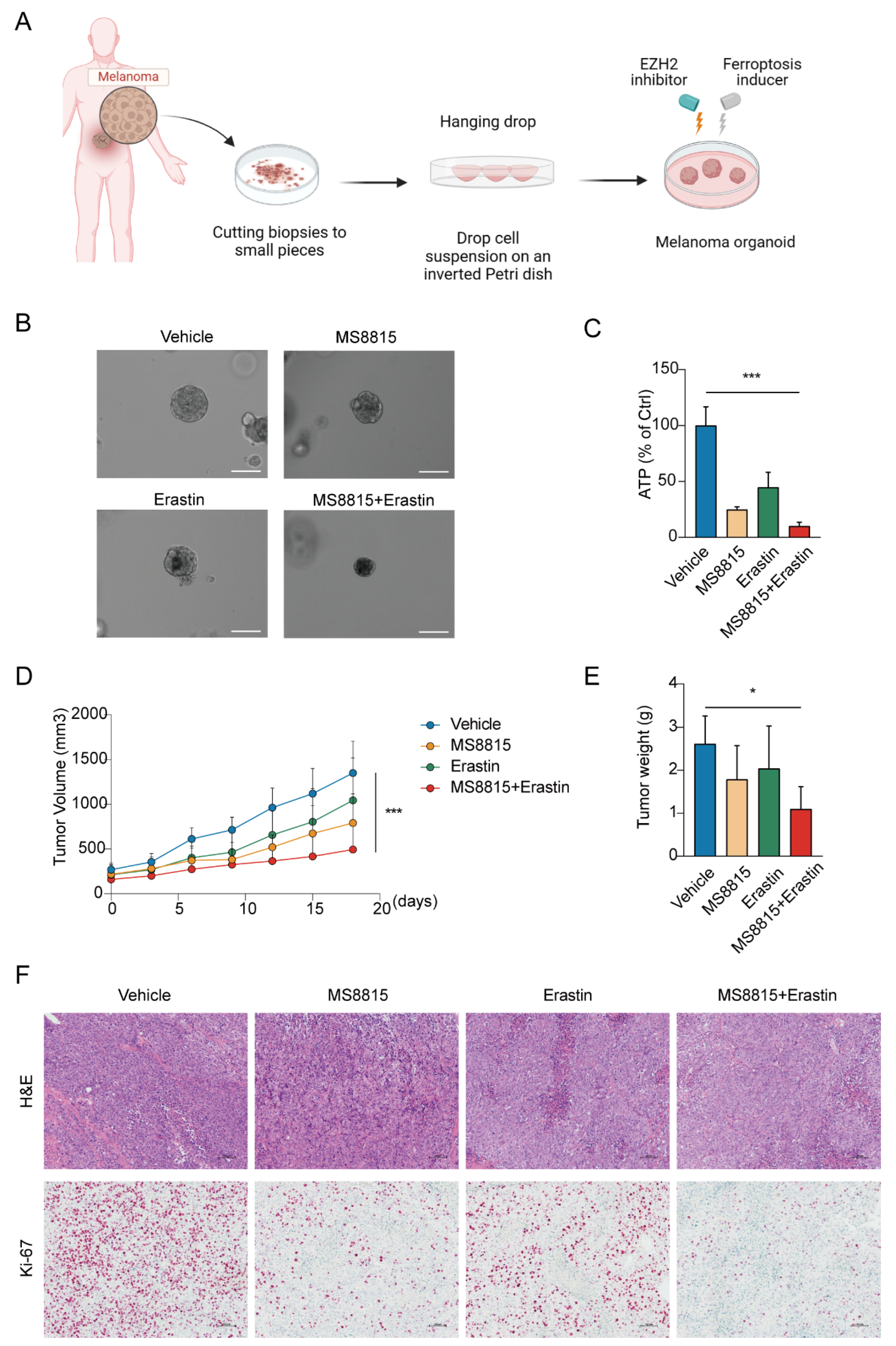 Cancers 16 03660 g007