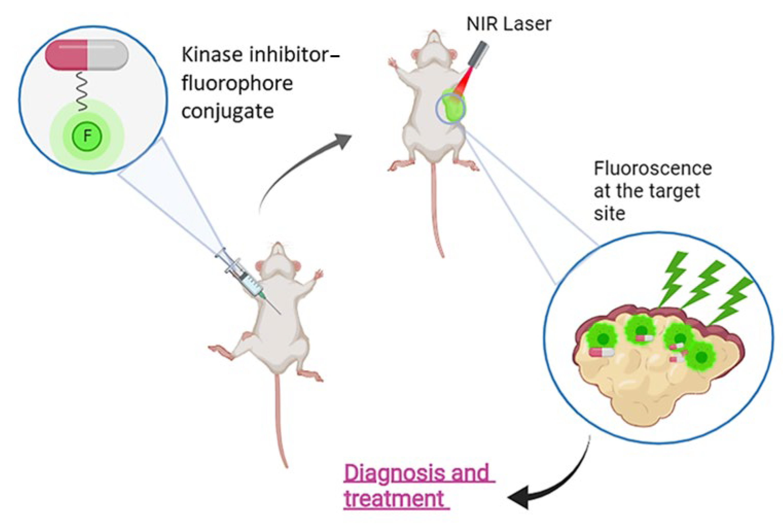 Cancers 16 03667 g001