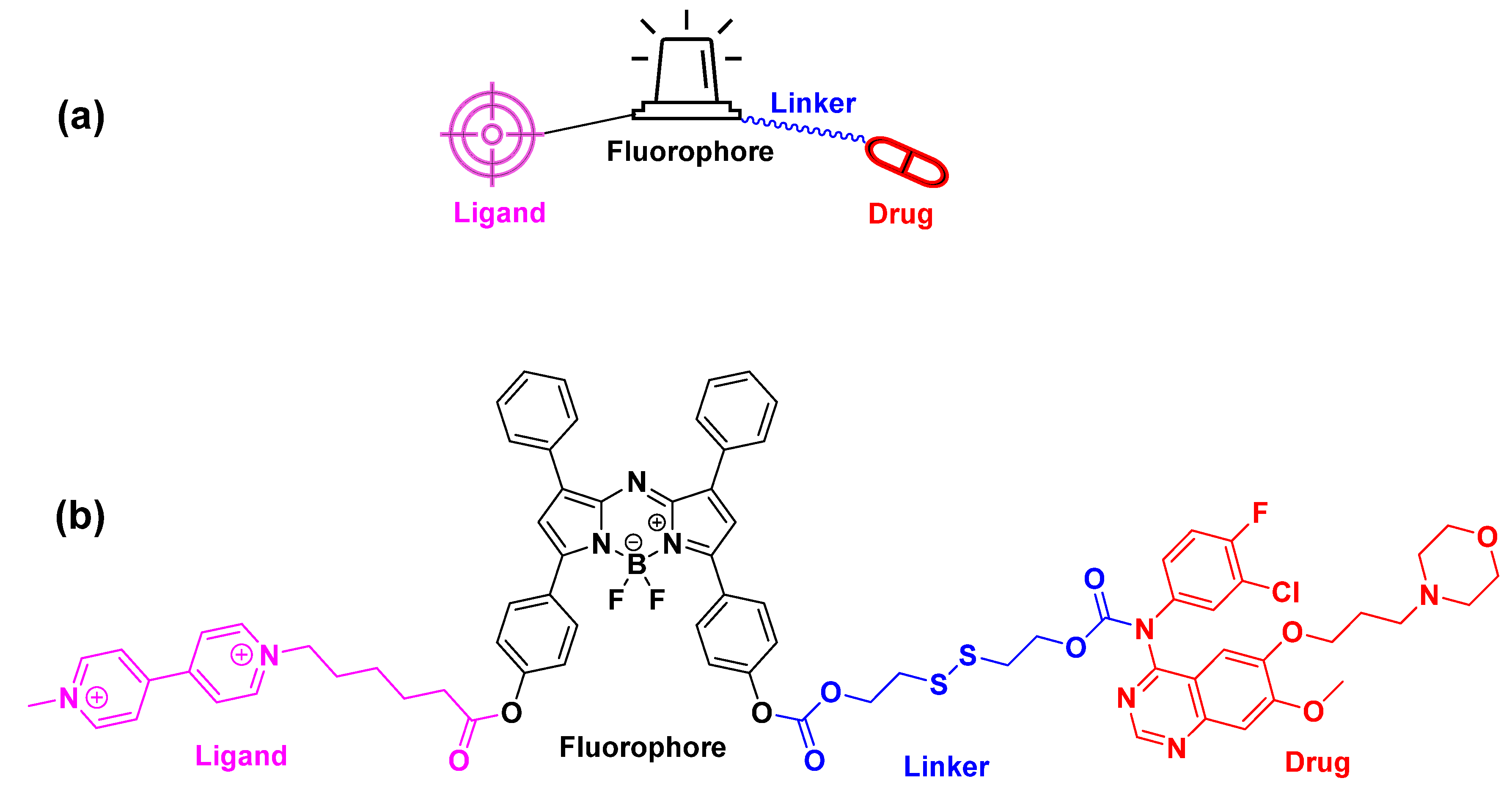 Cancers 16 03667 g005