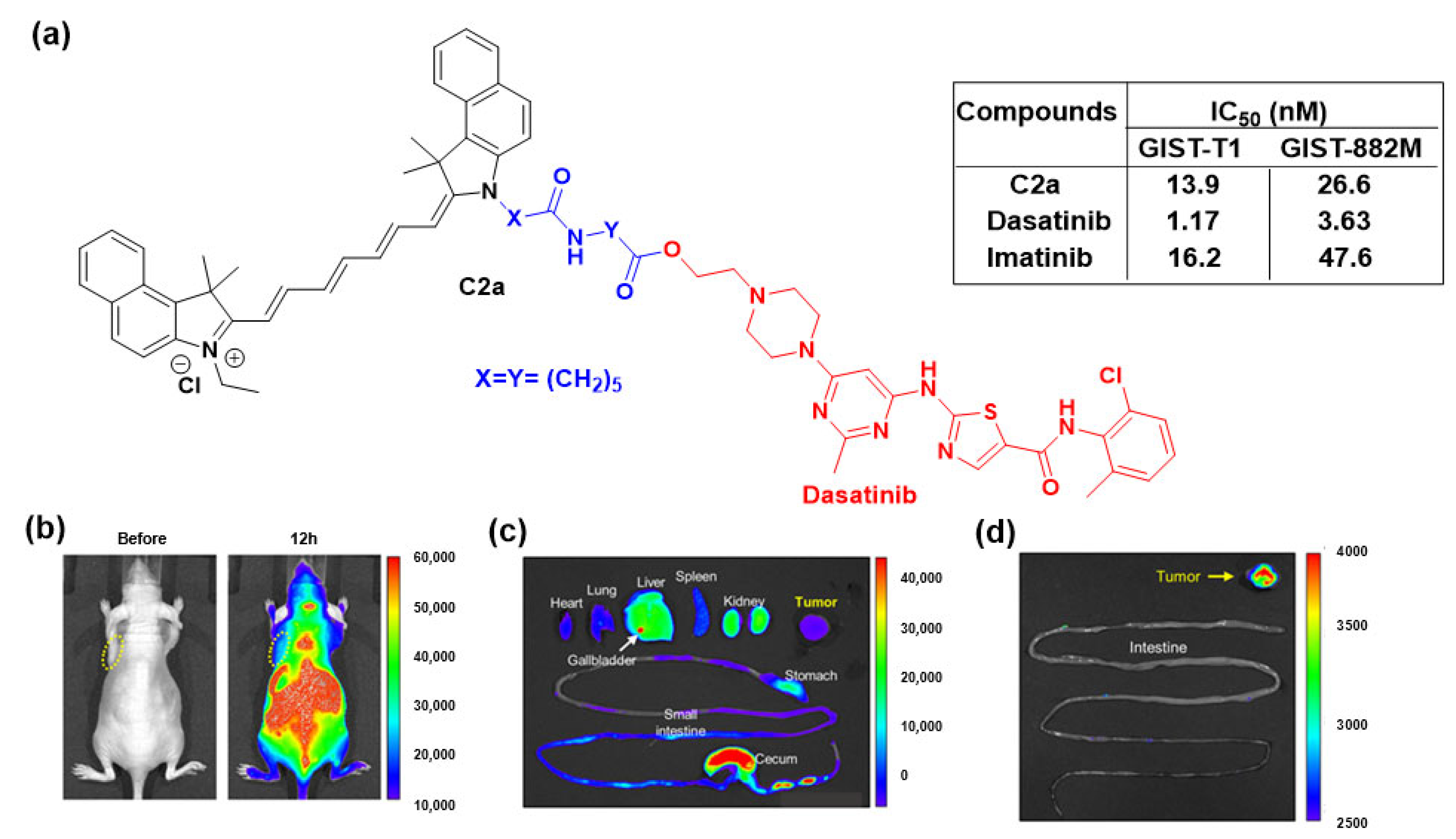 Cancers 16 03667 g007