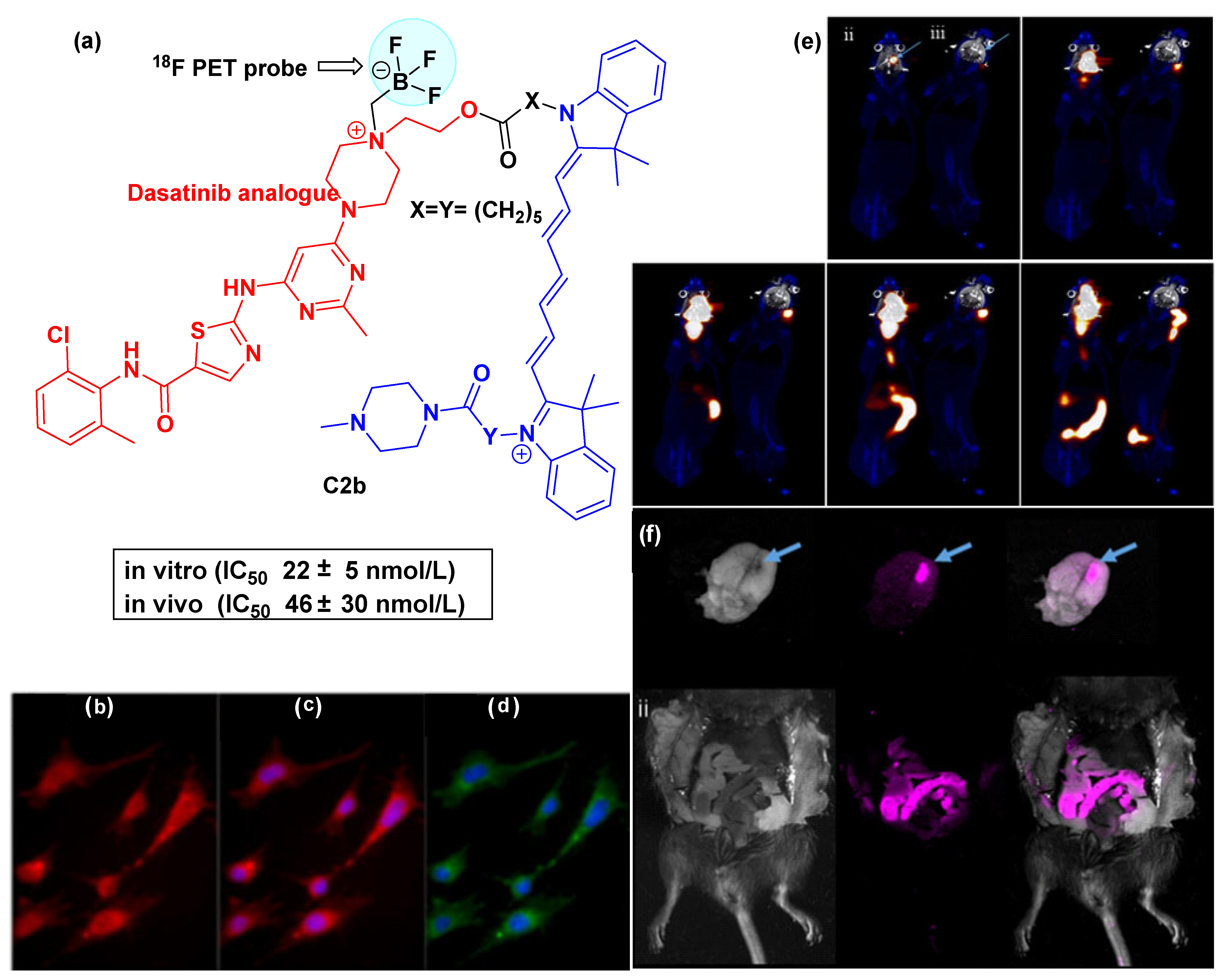 Cancers 16 03667 g008