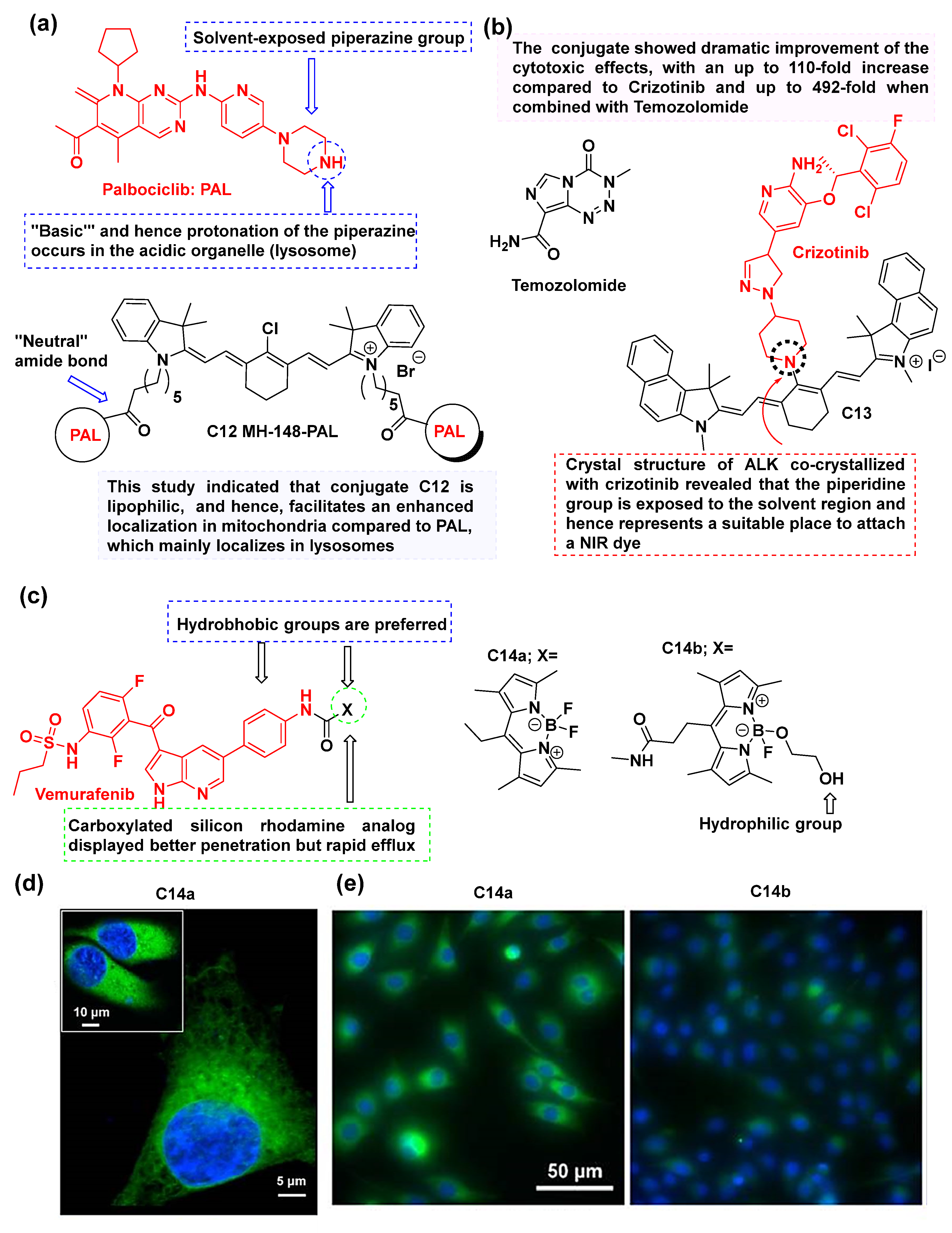 Cancers 16 03667 g012