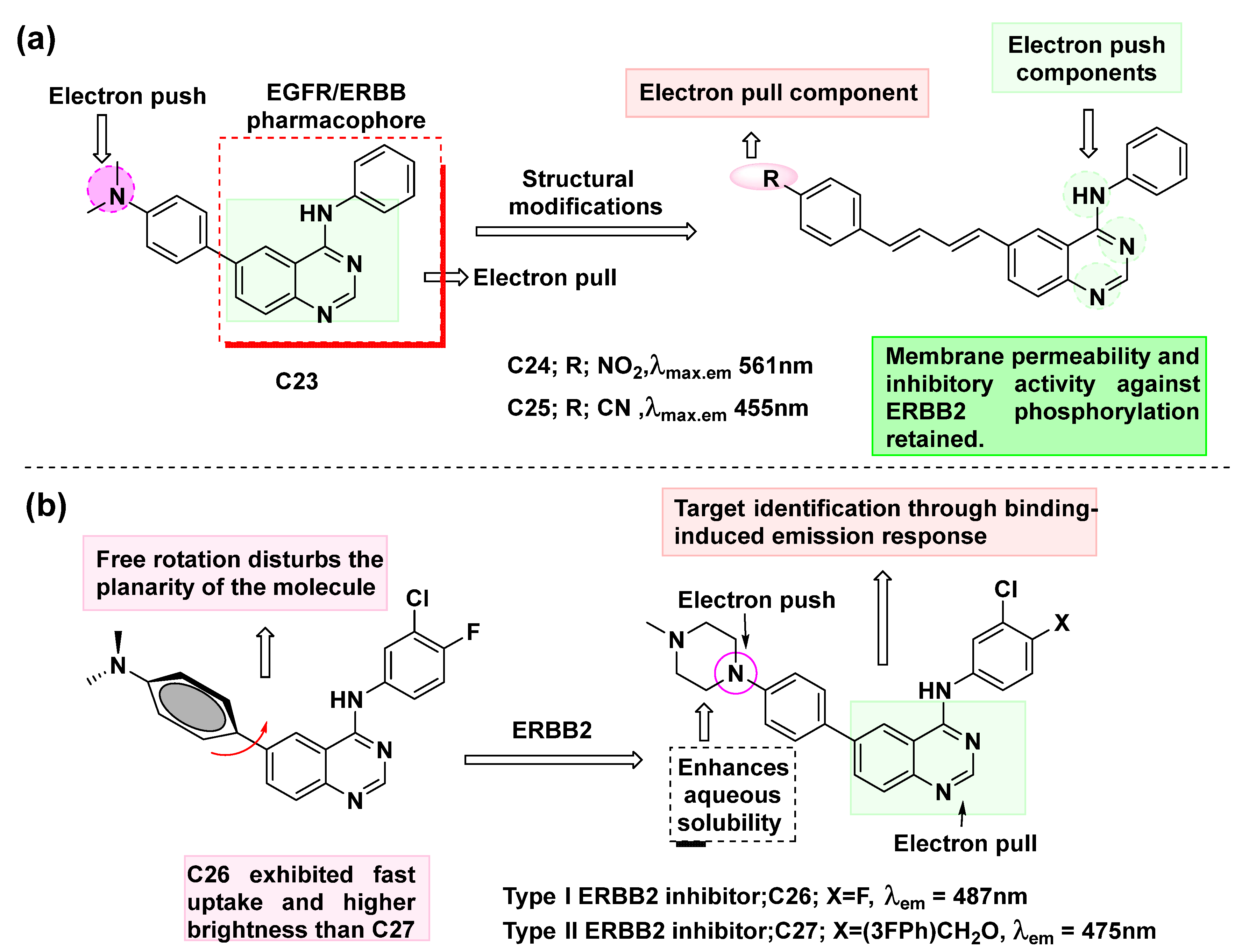 Cancers 16 03667 g016