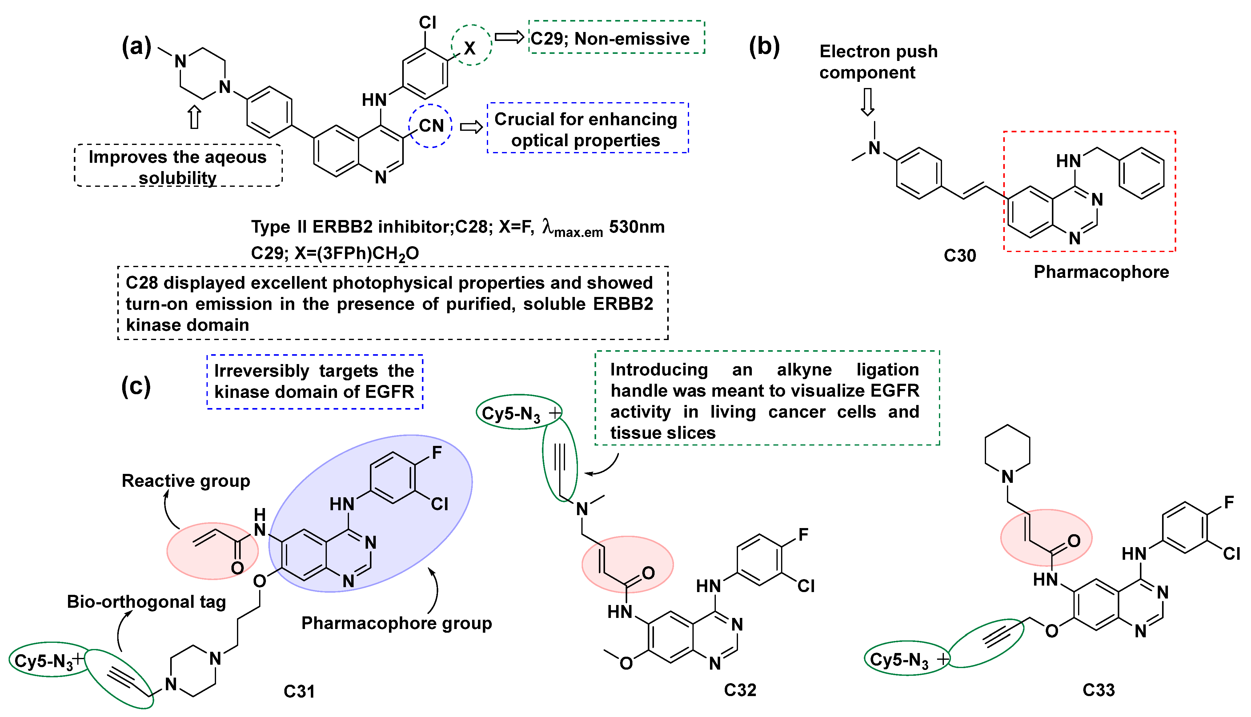 Cancers 16 03667 g017