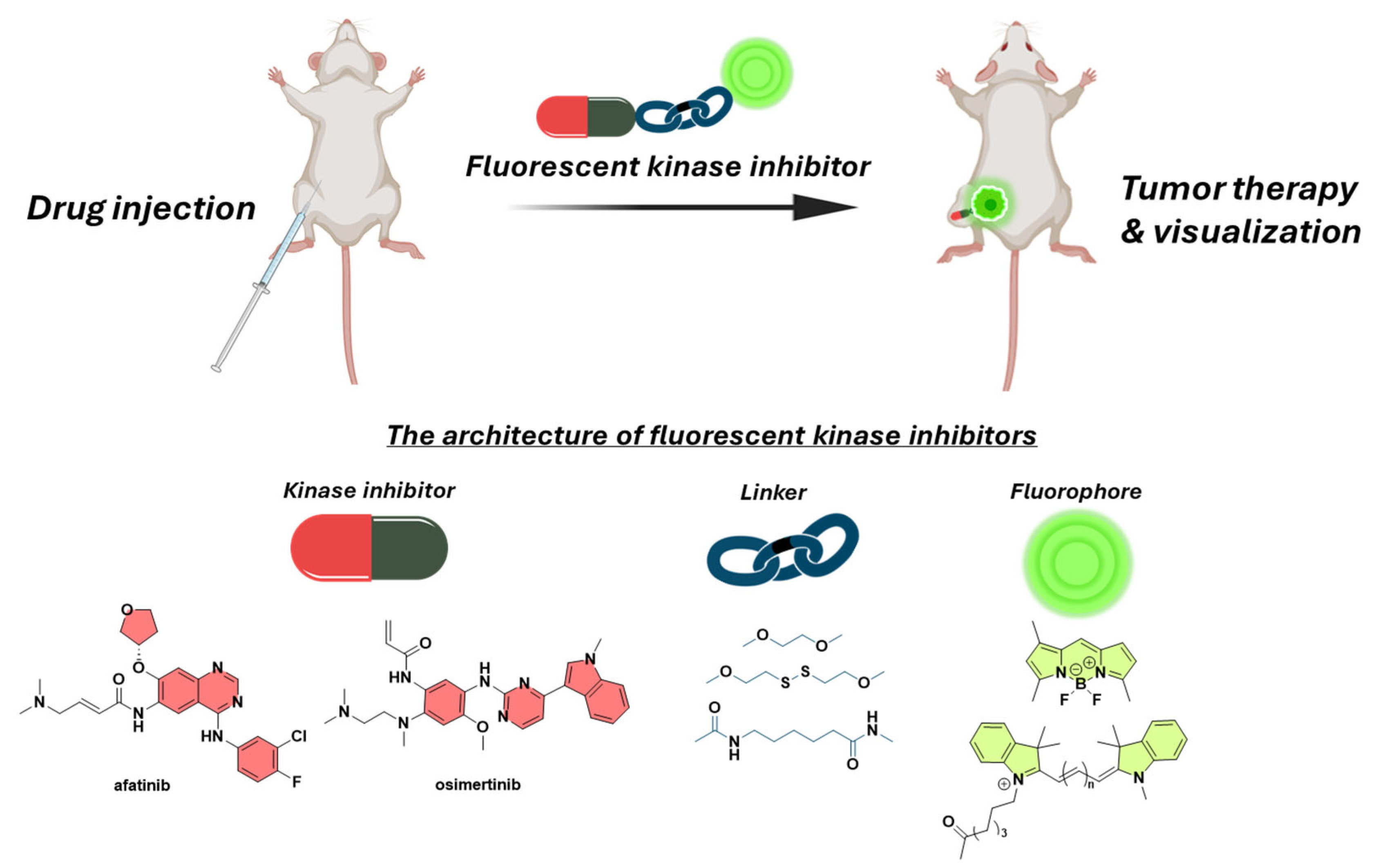 Cancers 16 03667 g020