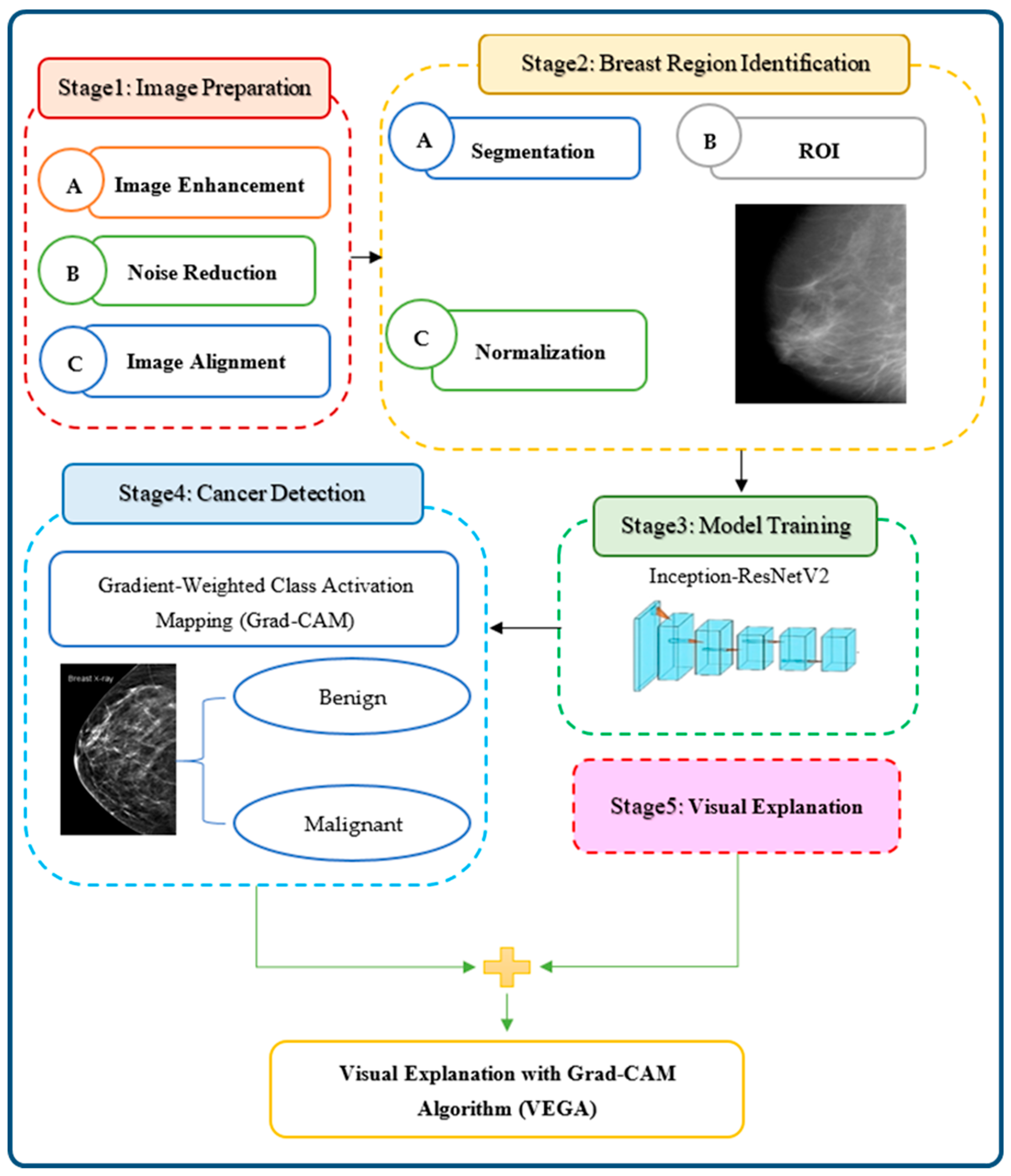 Cancers 16 03668 g002