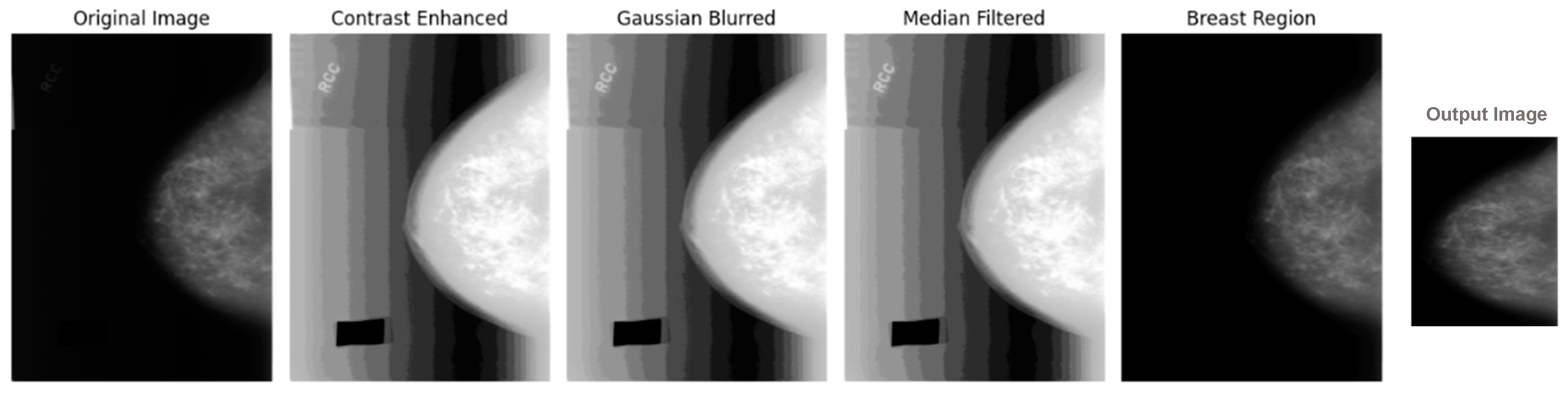 Cancers 16 03668 g003