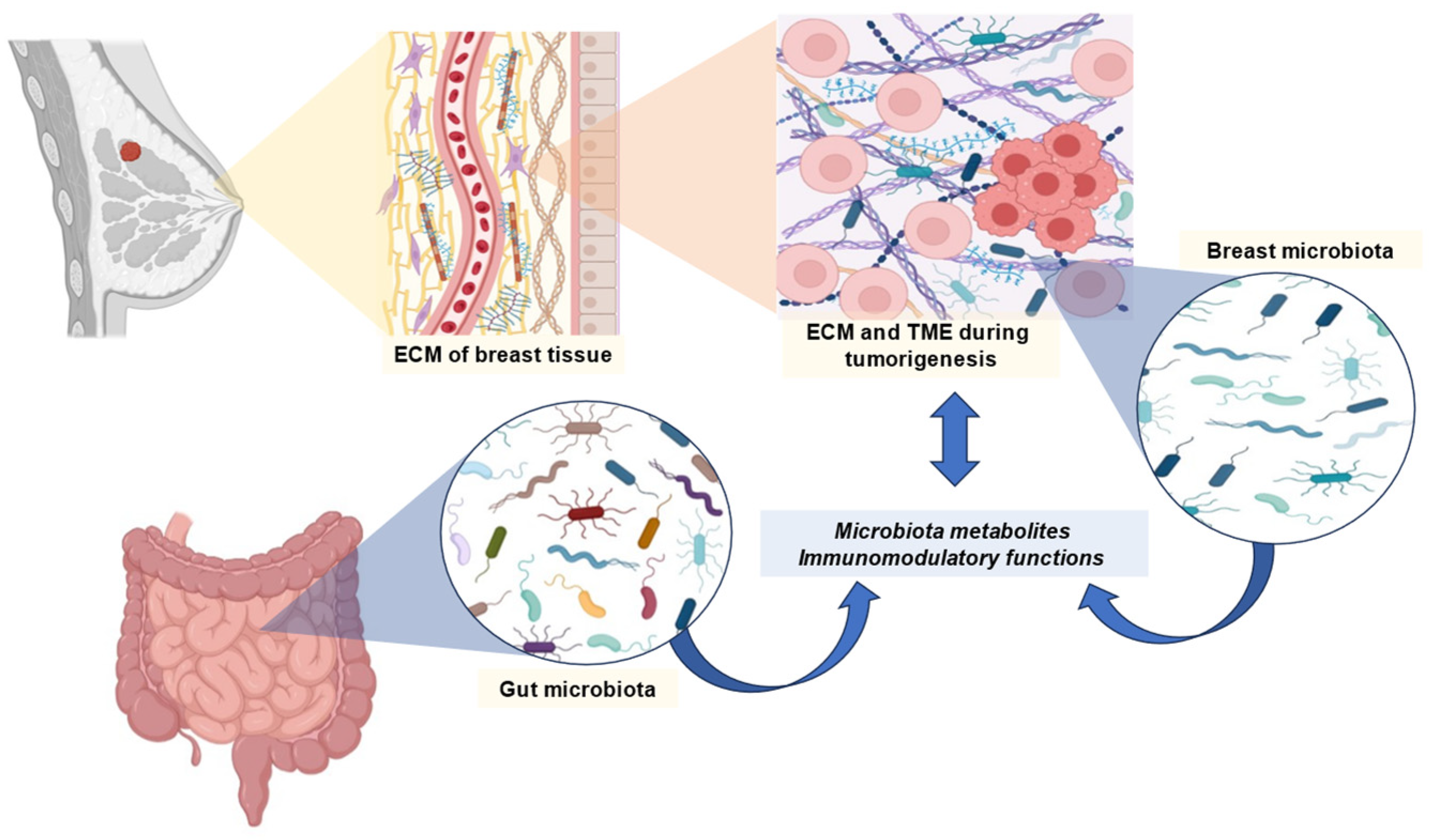 Cancers 16 03671 g001